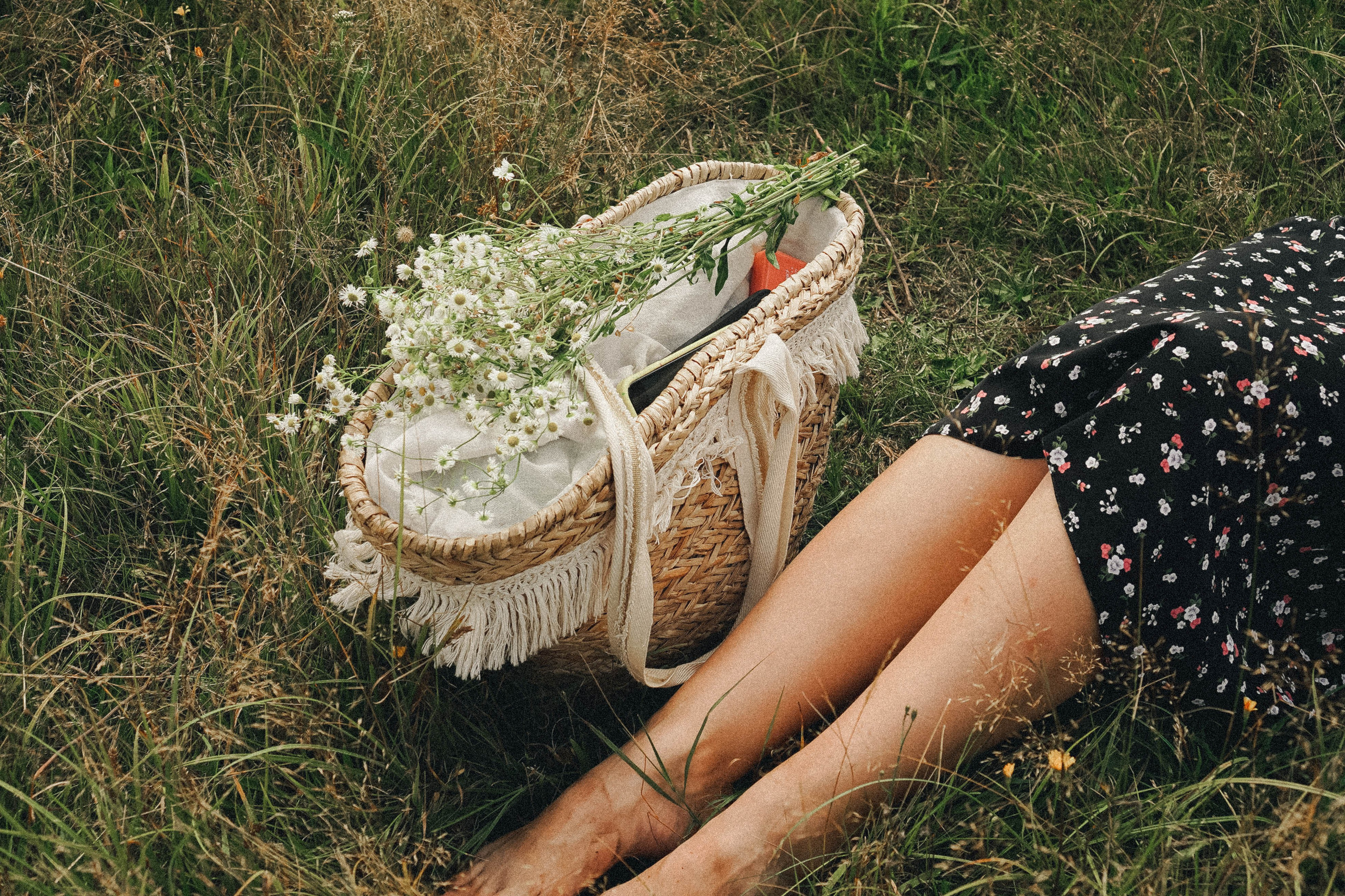 Прогулка на природе. Профессиональный фотограф, Санкт-Петербург — Виктория Богомолова