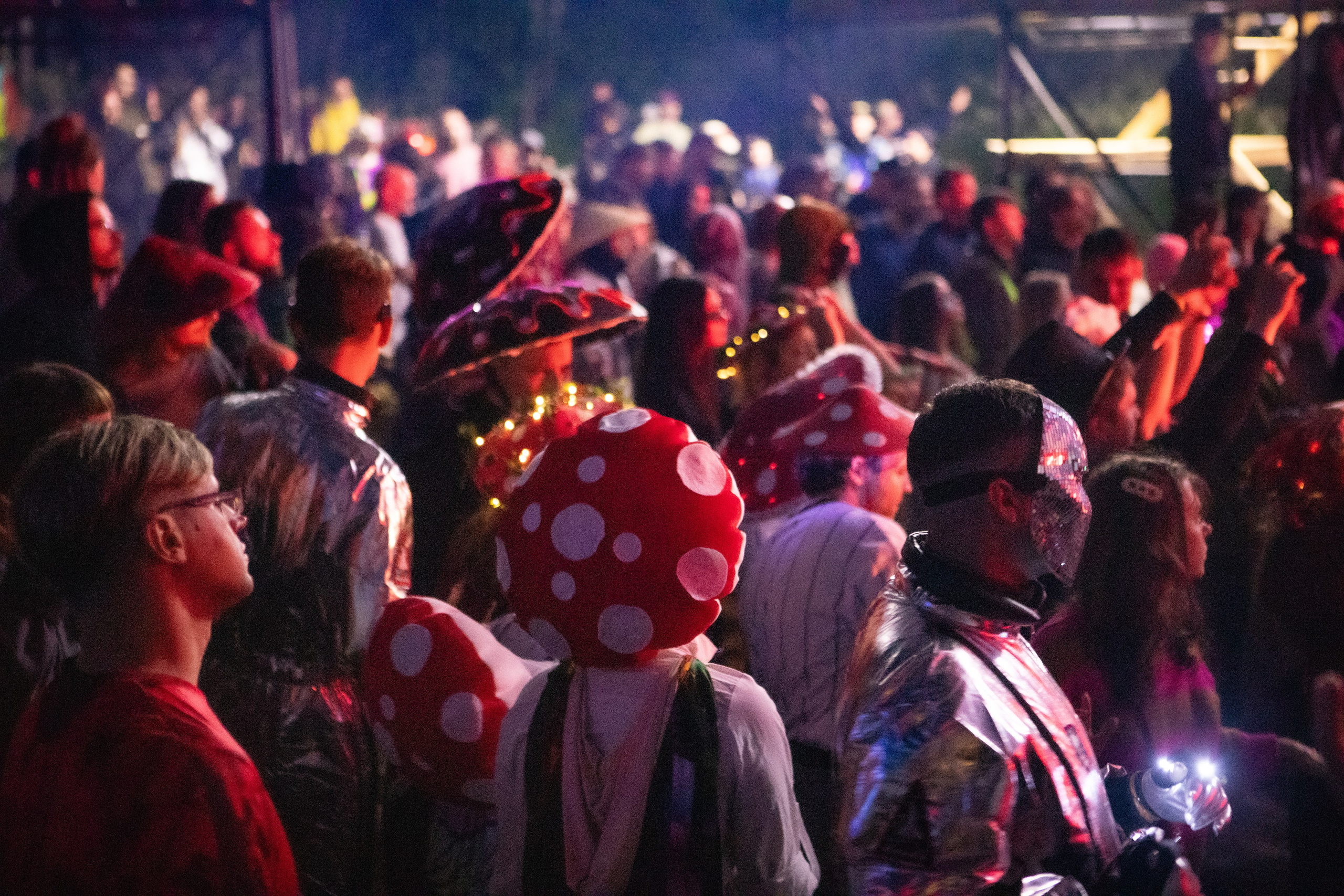 КАСТРЫ 2025. Сайт Фотографа MASHASOLAR