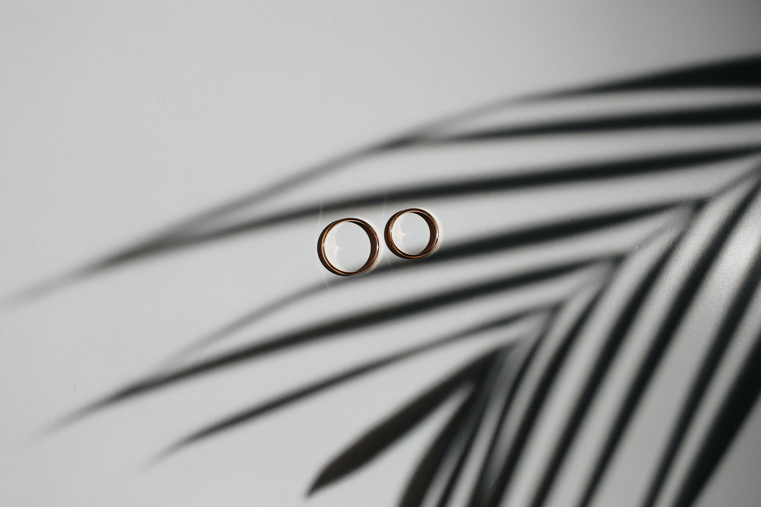 Свадебная фотосессия в Иваново и Москве. Свадебный фотограф в Иваново Гитарина Черняева