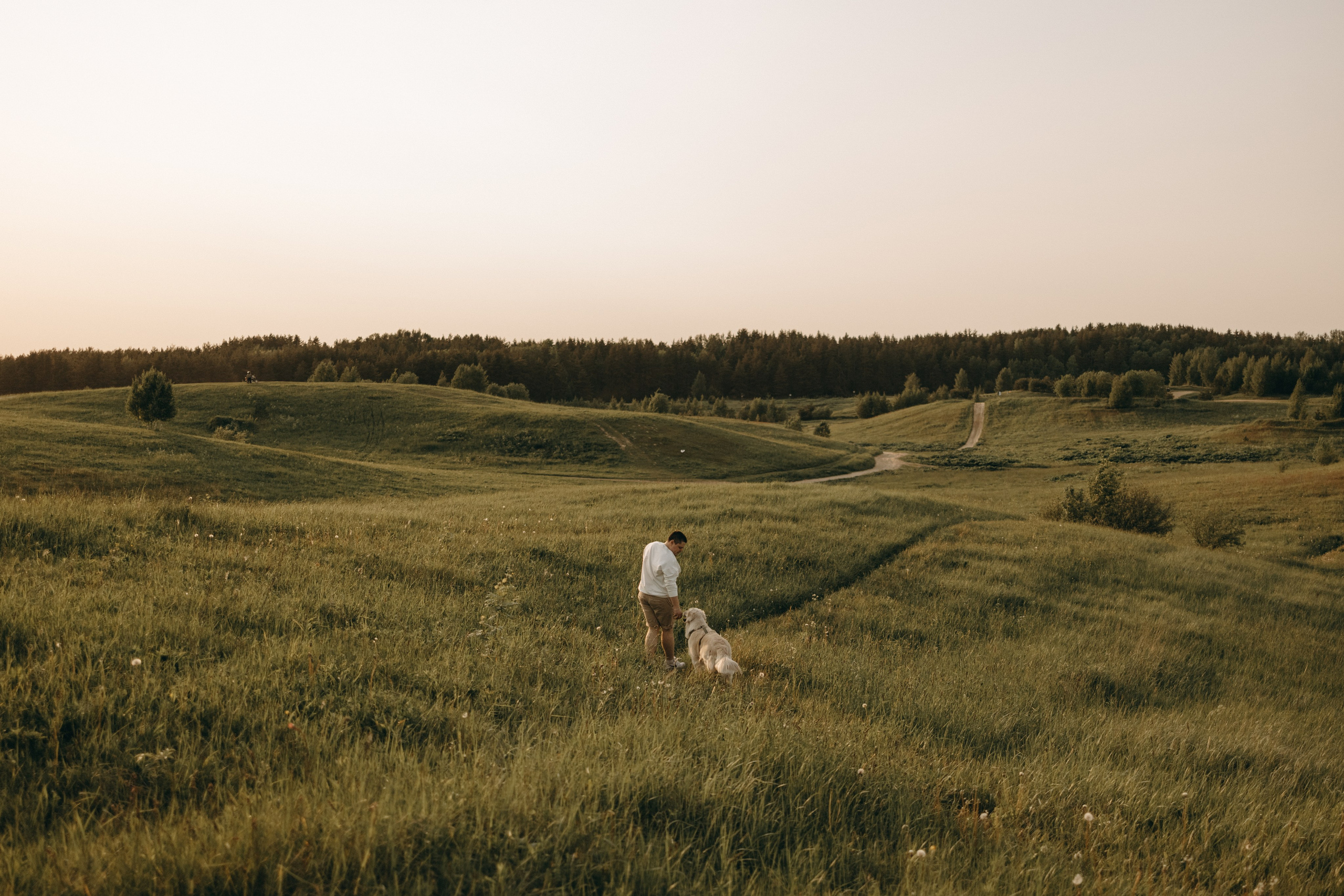 Милка и ребята. Фотограф — Анималист | Санкт-Петербург