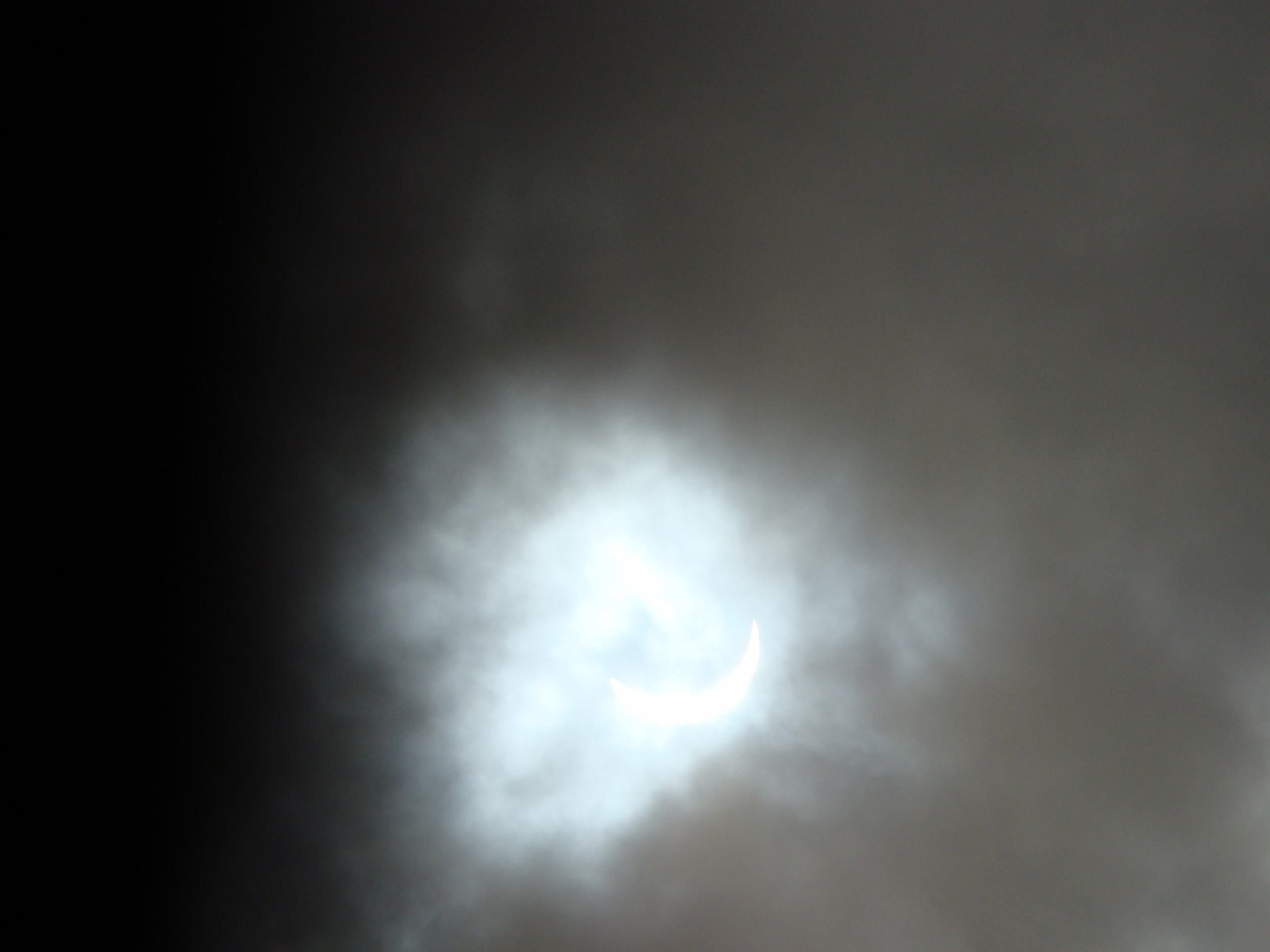 Кабардинка 25.07-01.08.2008. Семейный, Свадебный фотограф СПБ Питер— Романова Екатерина