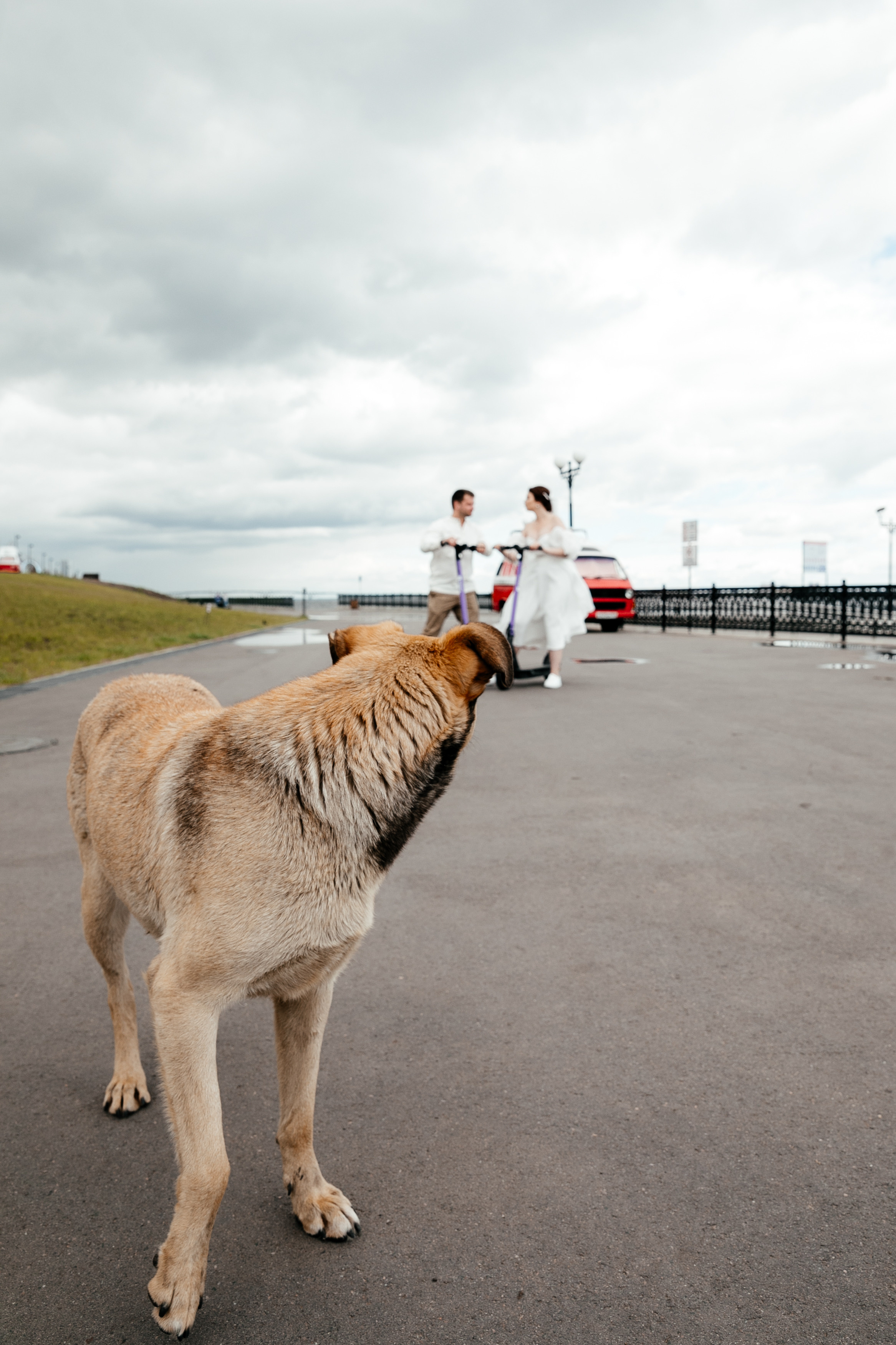 Danila&Anastasia. Фотограф Максим Маркелов