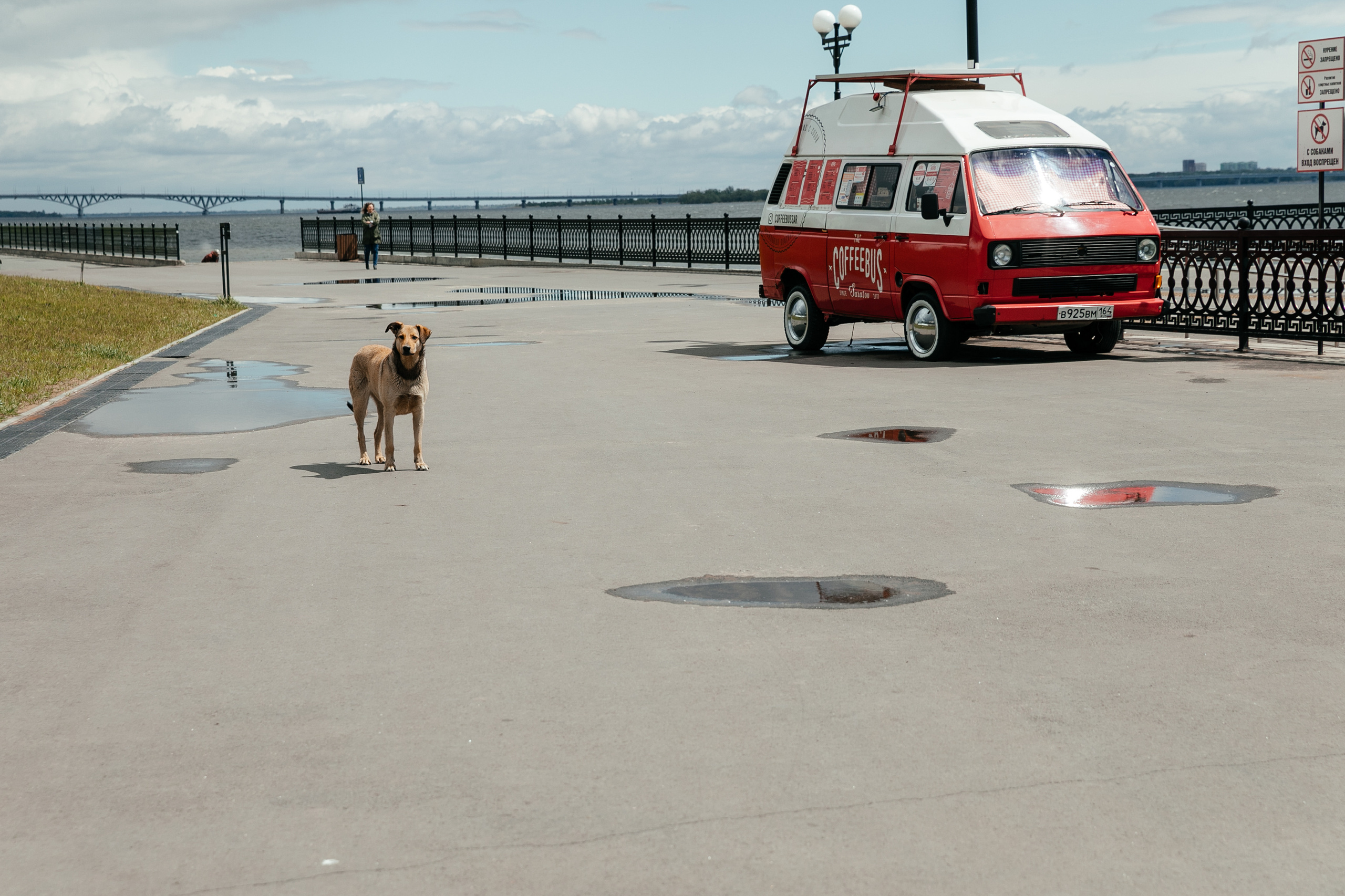 Danila&Anastasia. Фотограф Максим Маркелов