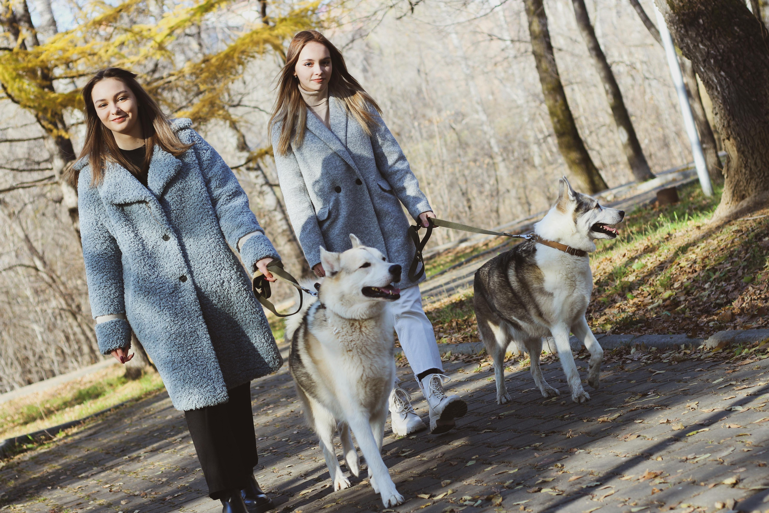 Прогулка 1. Алиса Томшина — Фотограф / Видеограф