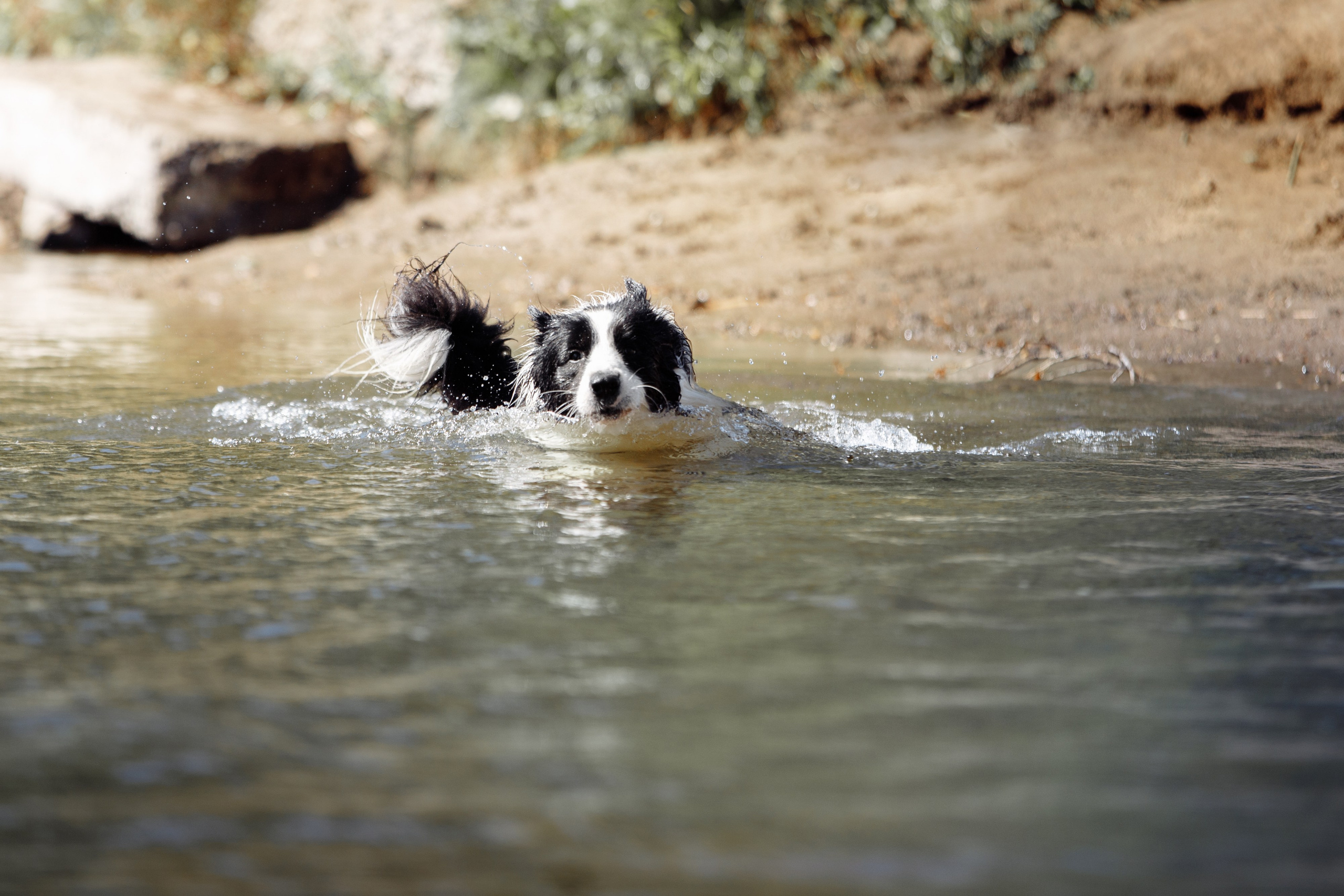 Водяные в Новотроицке. О нас