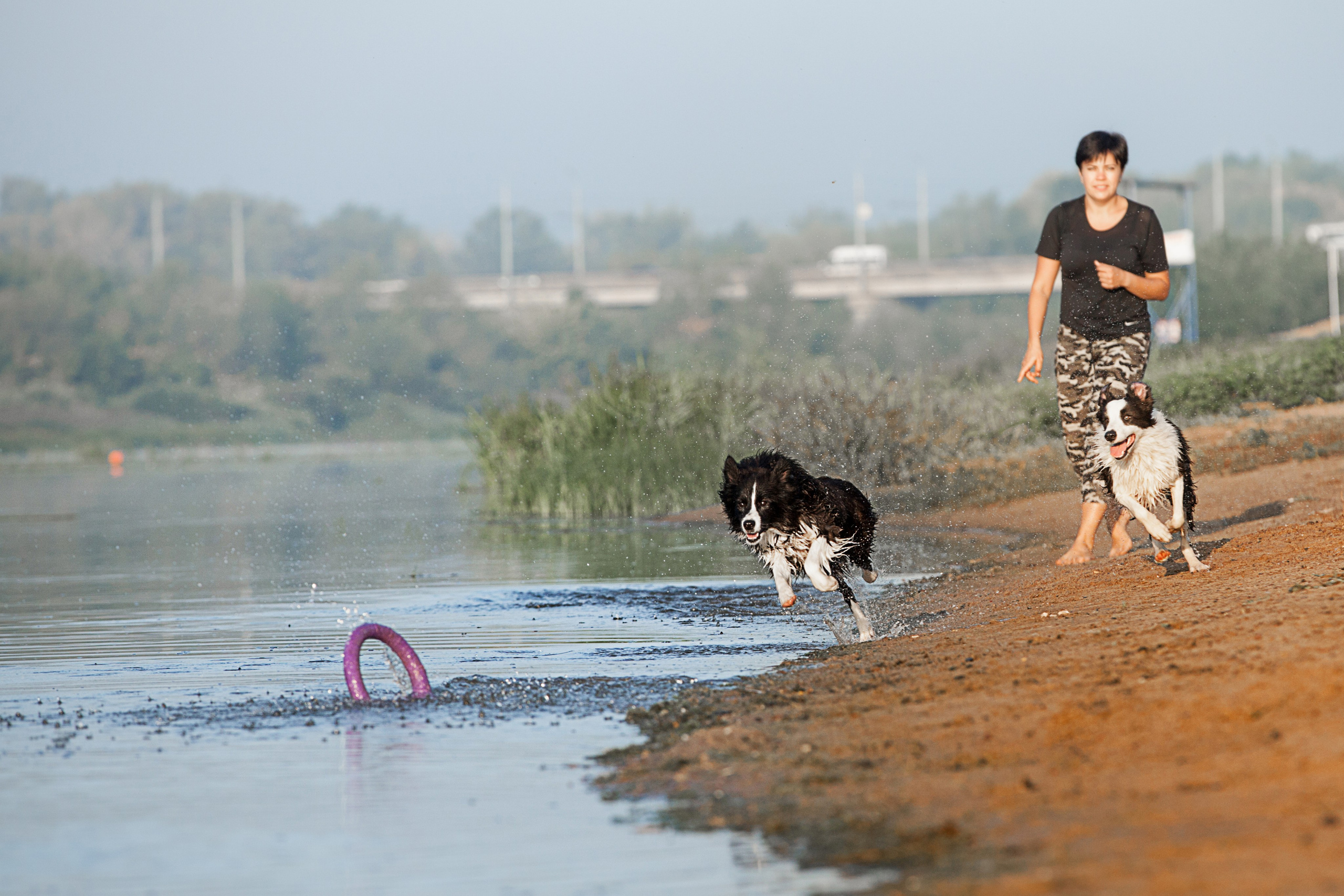 Сочный рассвет, на который решились. О нас