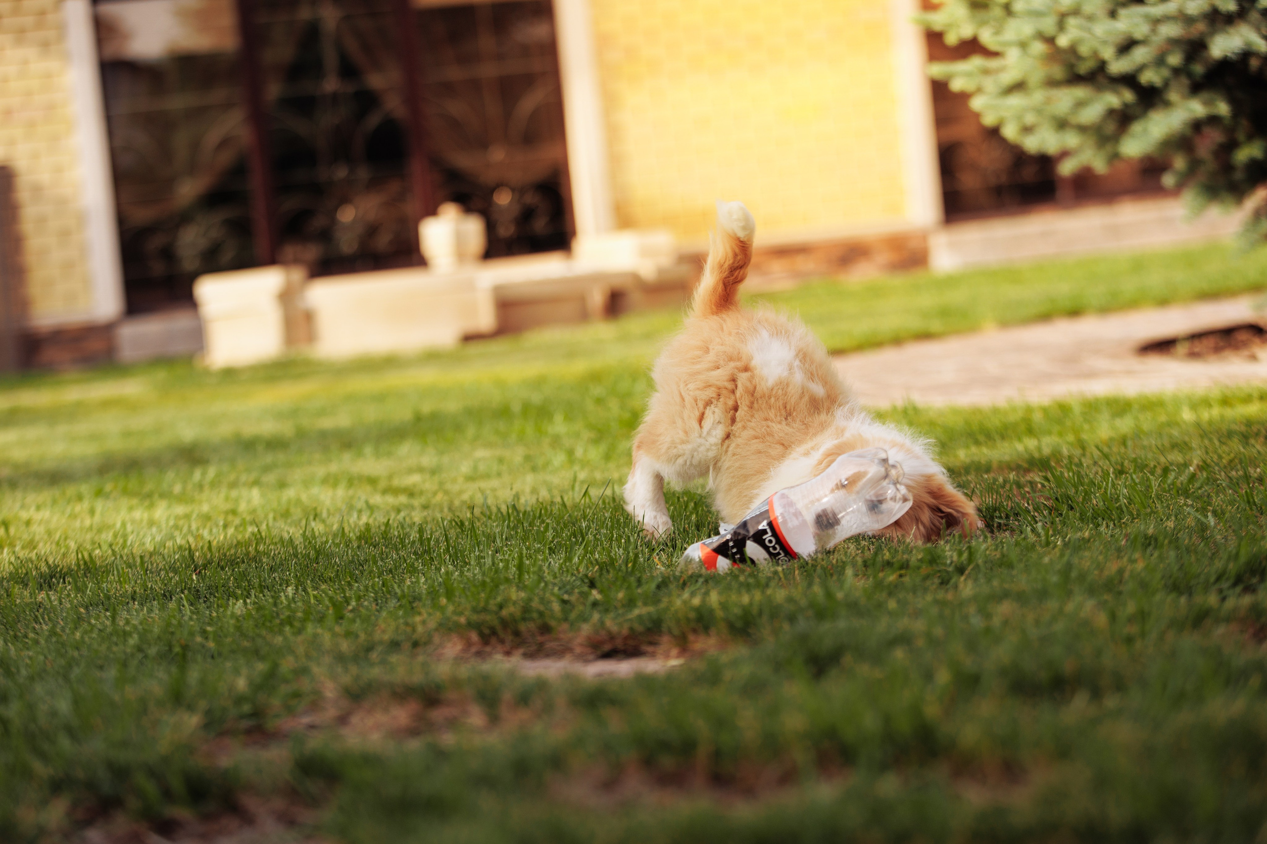 СОлнечные. О нас