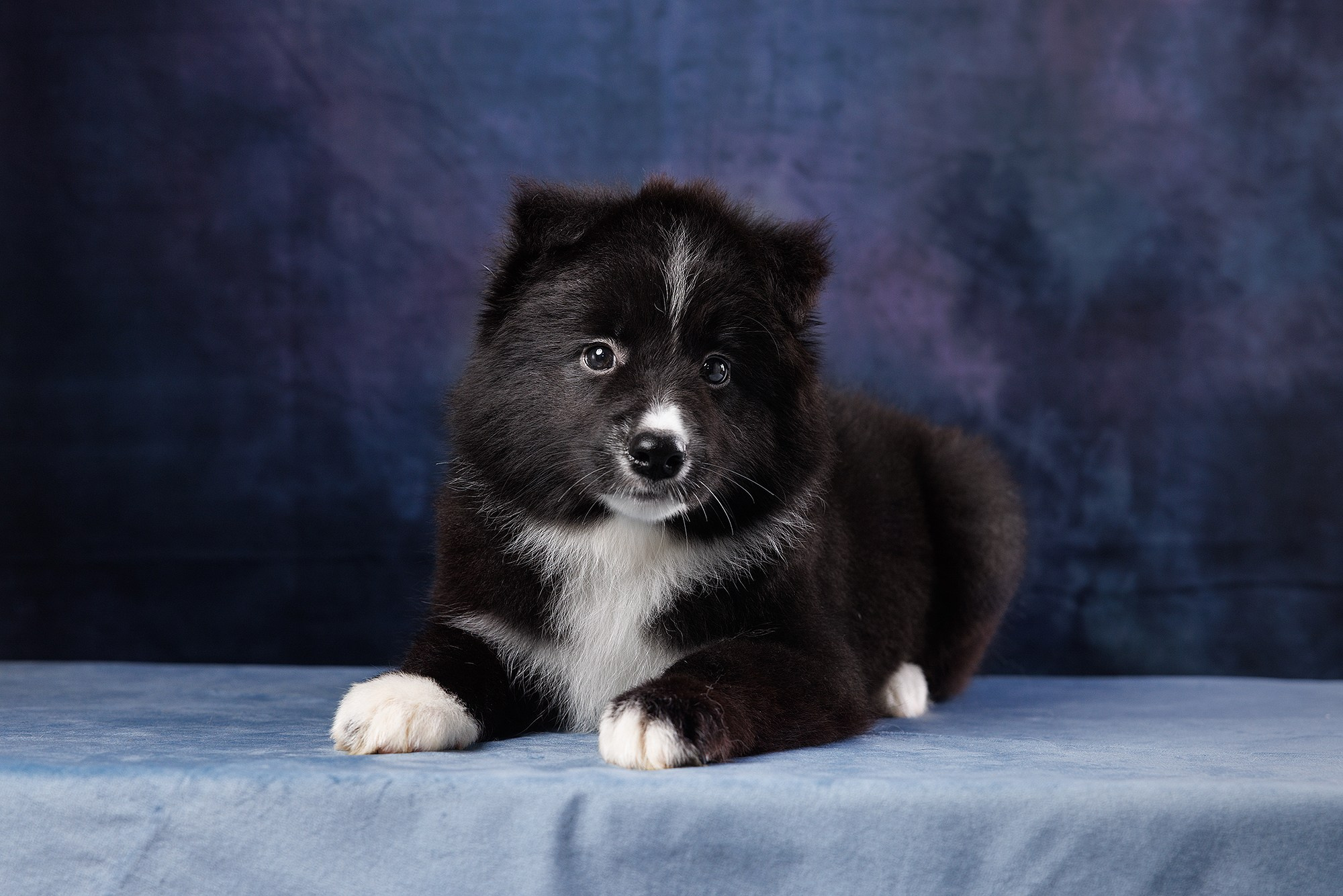 На водной основе. О нас