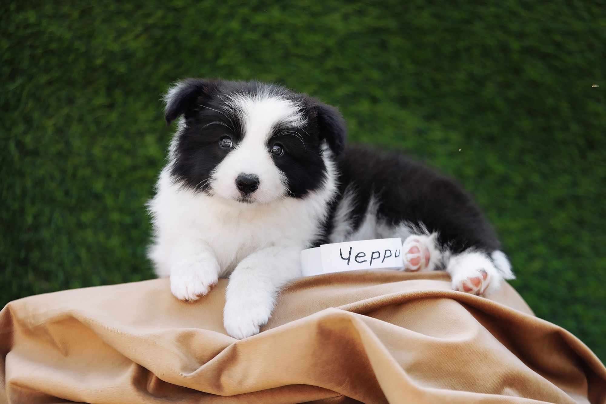 Новый лист. О нас