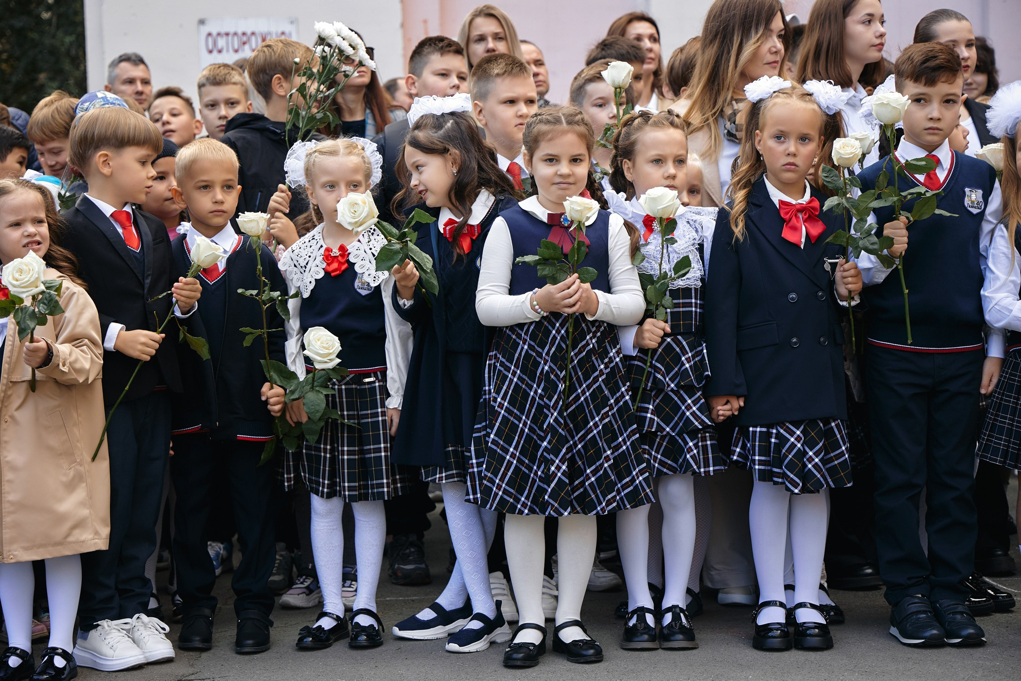 1 Сентября. Фотограф Барнаул Быстро-Качественно опыт 15+лет