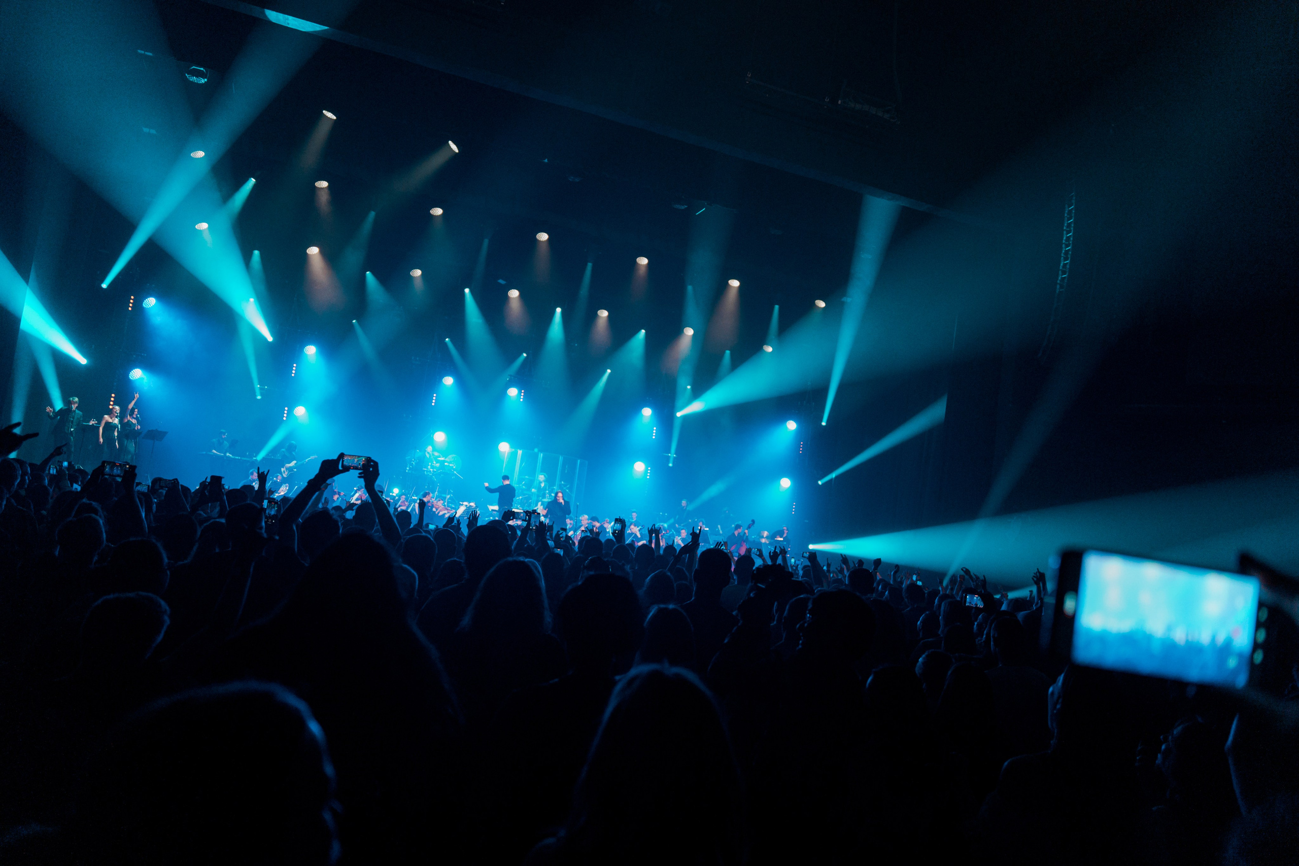 Алексей Горшенёв. Магия музыки в кадре: Концертная Фотография