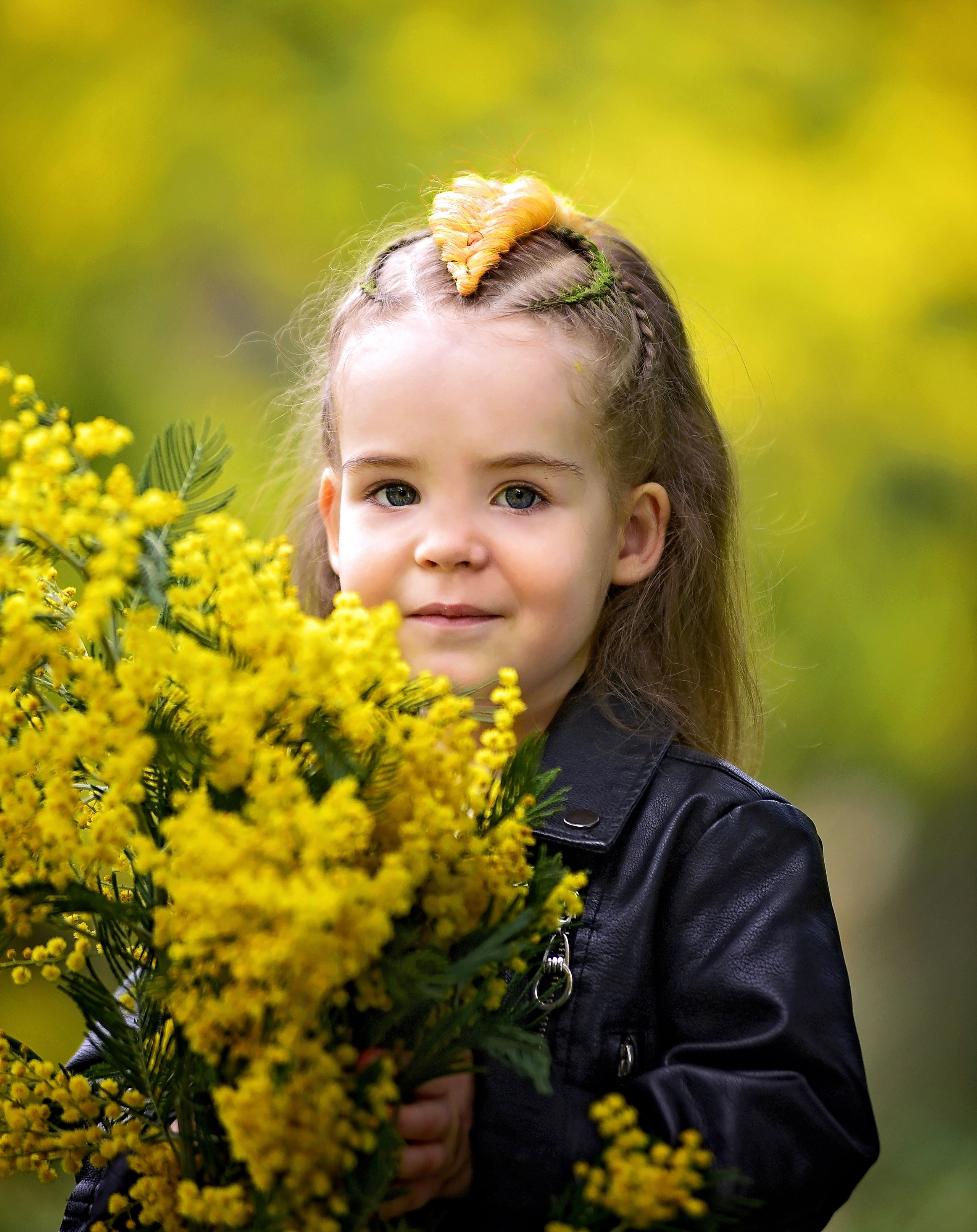 Мимоза. Главная