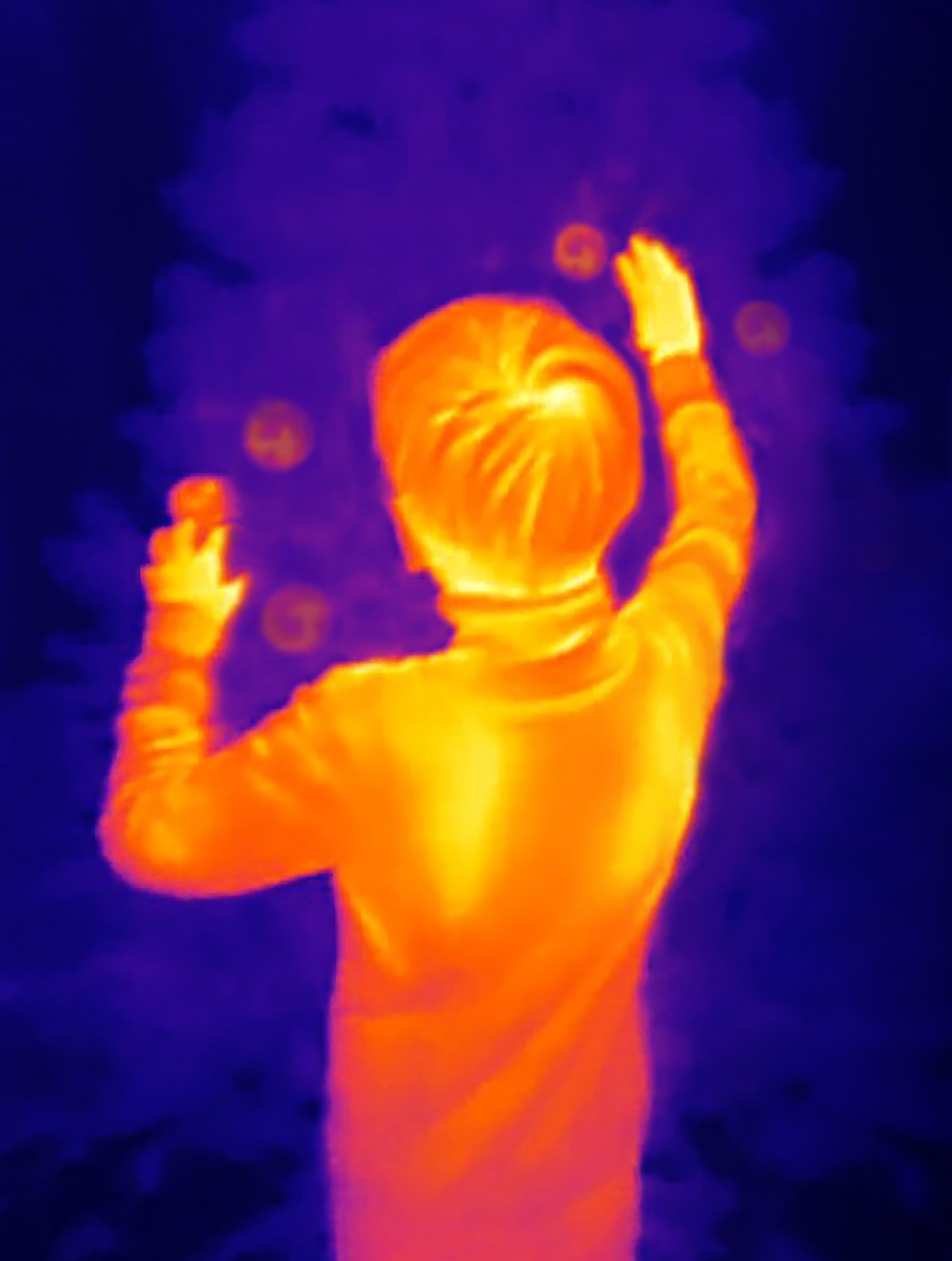 Если б я была удавом / If I were a boa constrictor. Visual artist Olga Burmistrova