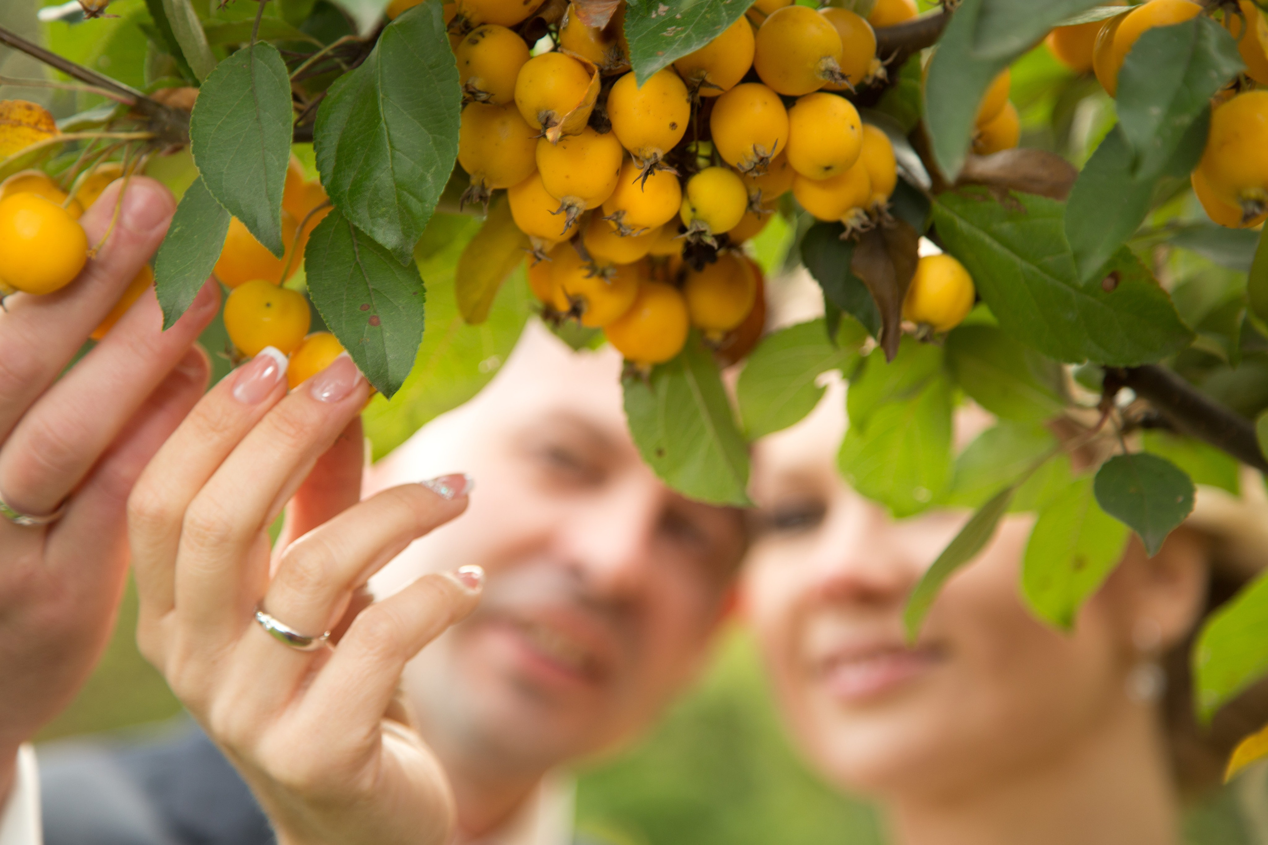 Свадьбы. Профессиональный портретный фотограф в Москве Владимир Глаголев