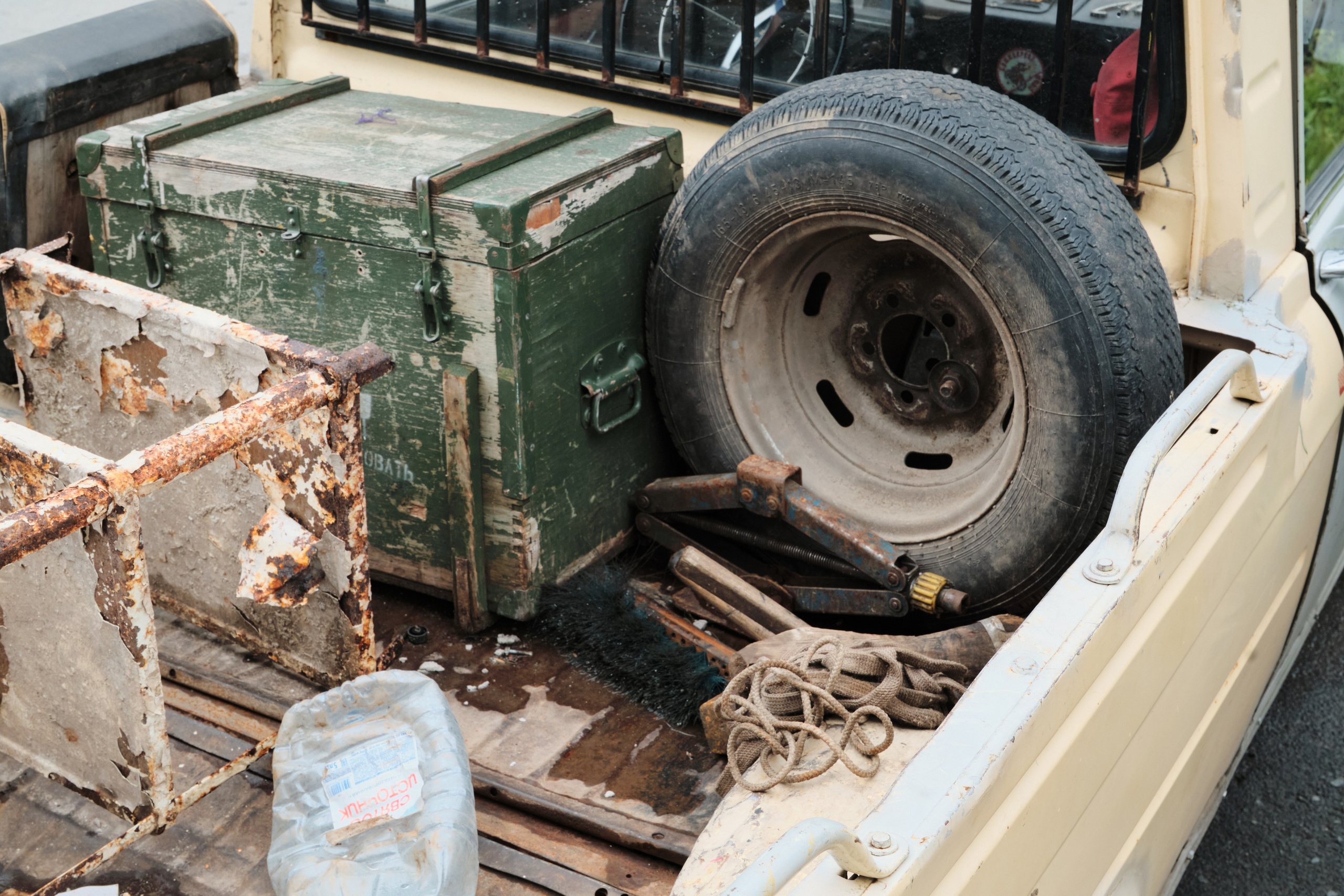 Академ-городок и ботанический сад. Goncharov Tim