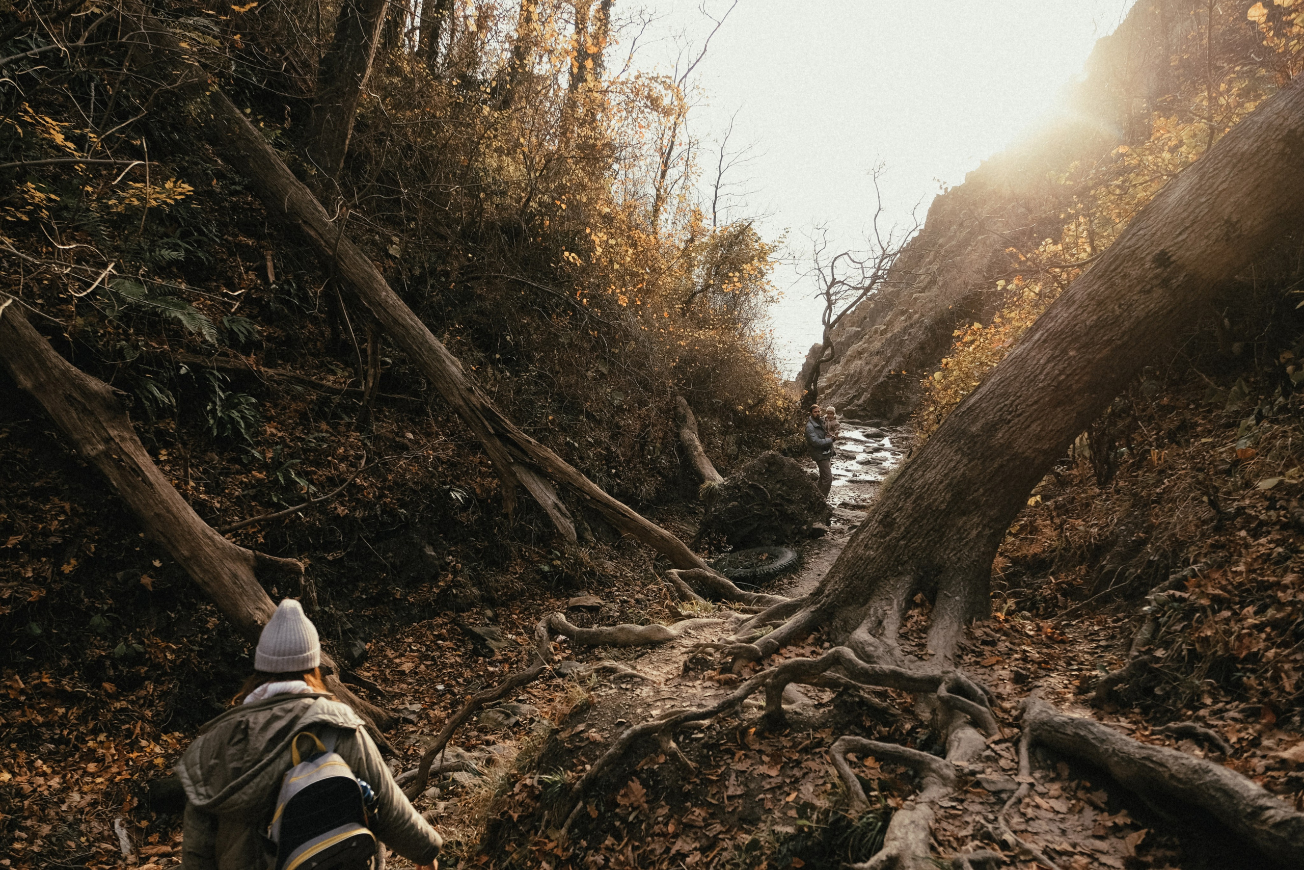 Катя, Паша и Федя. Семейный фотограф Москва