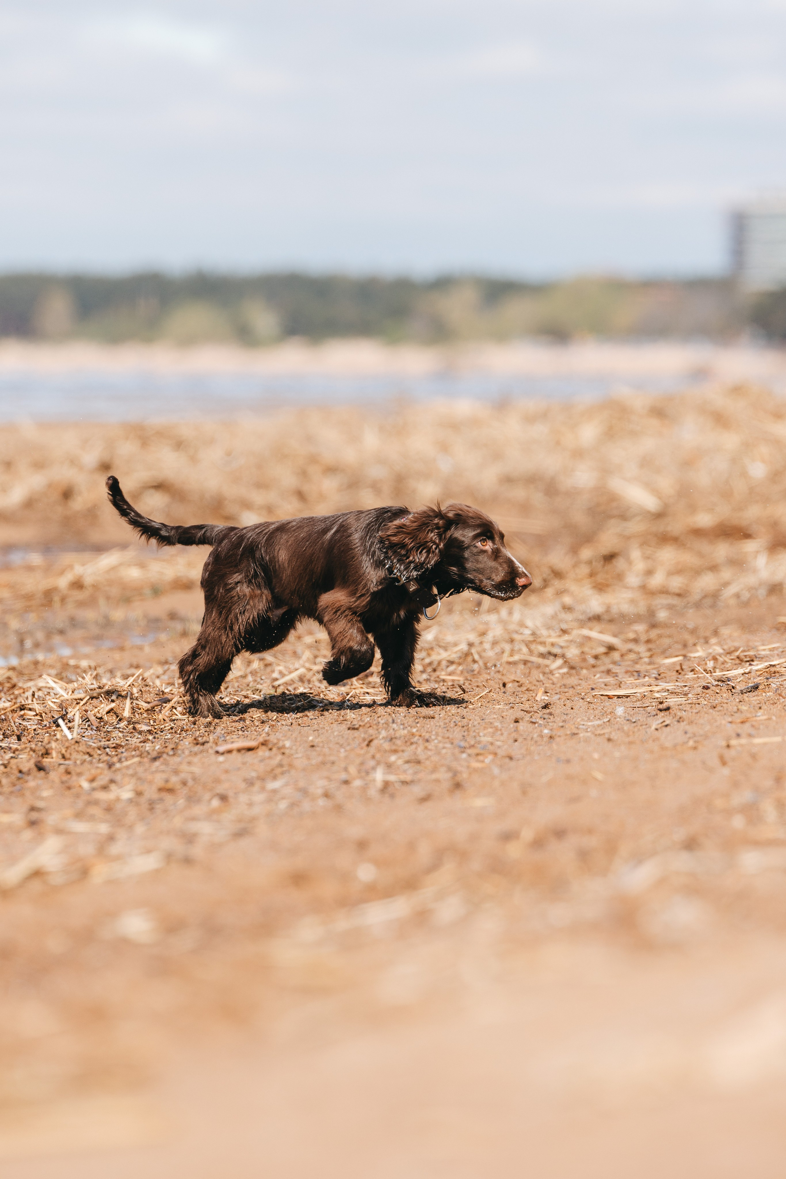 Спанимания. Фотограф анималист Осипчикова Мария