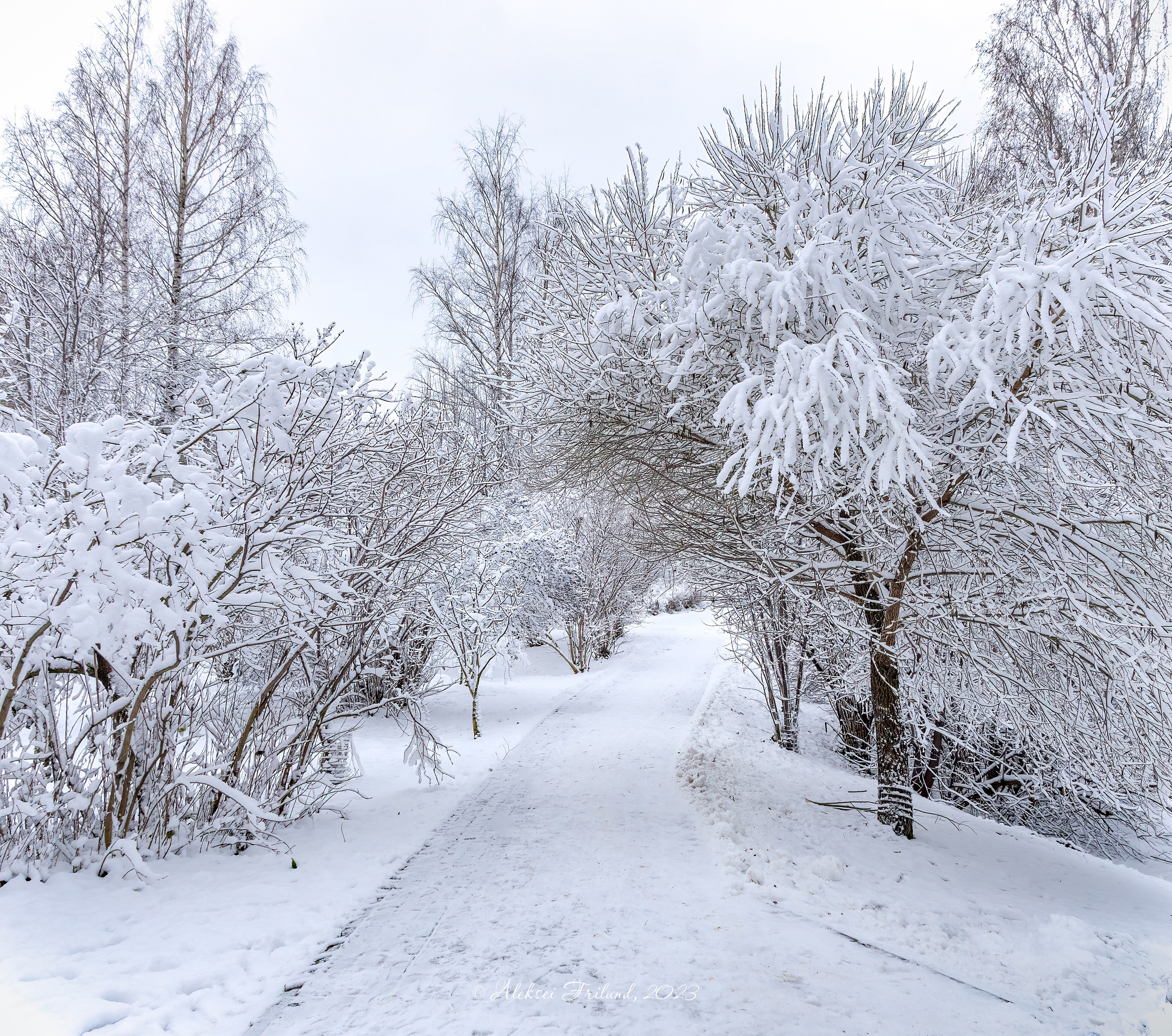Город. Аэросъемка. Фото и Видео в Карелии. Алексей Фрилунд