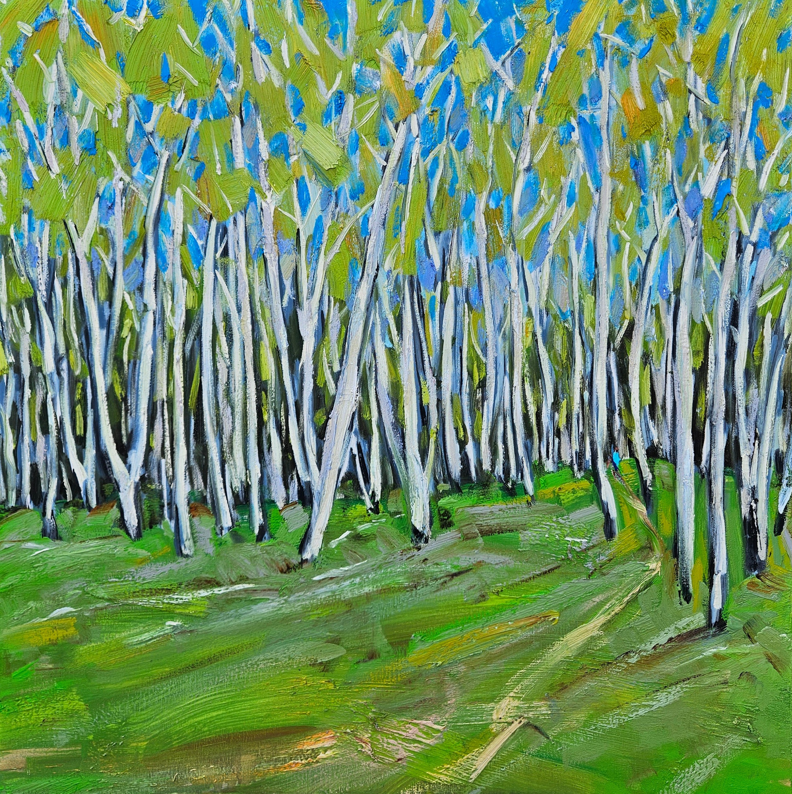 Берёзы, лес, роща