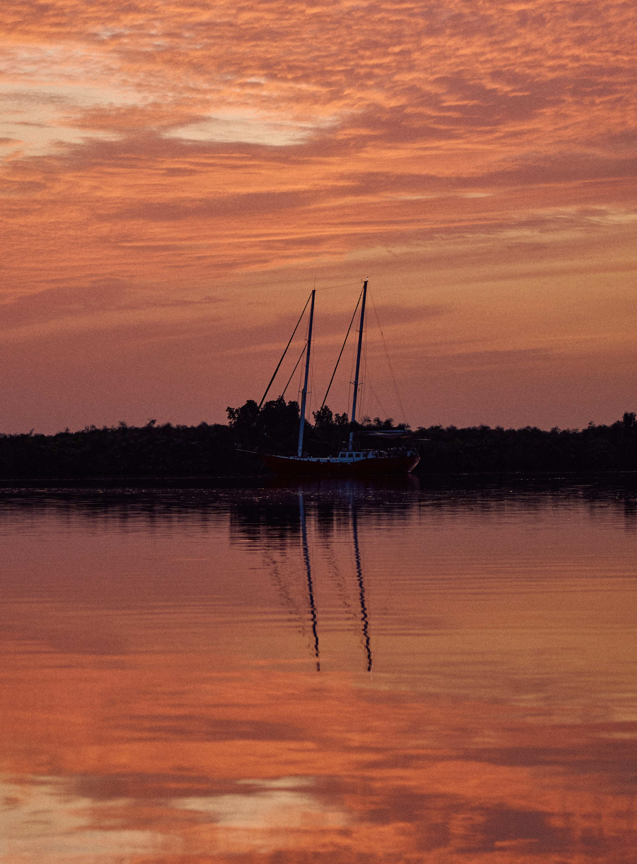 Gambia River. See the moment and catche. commercial and reportage