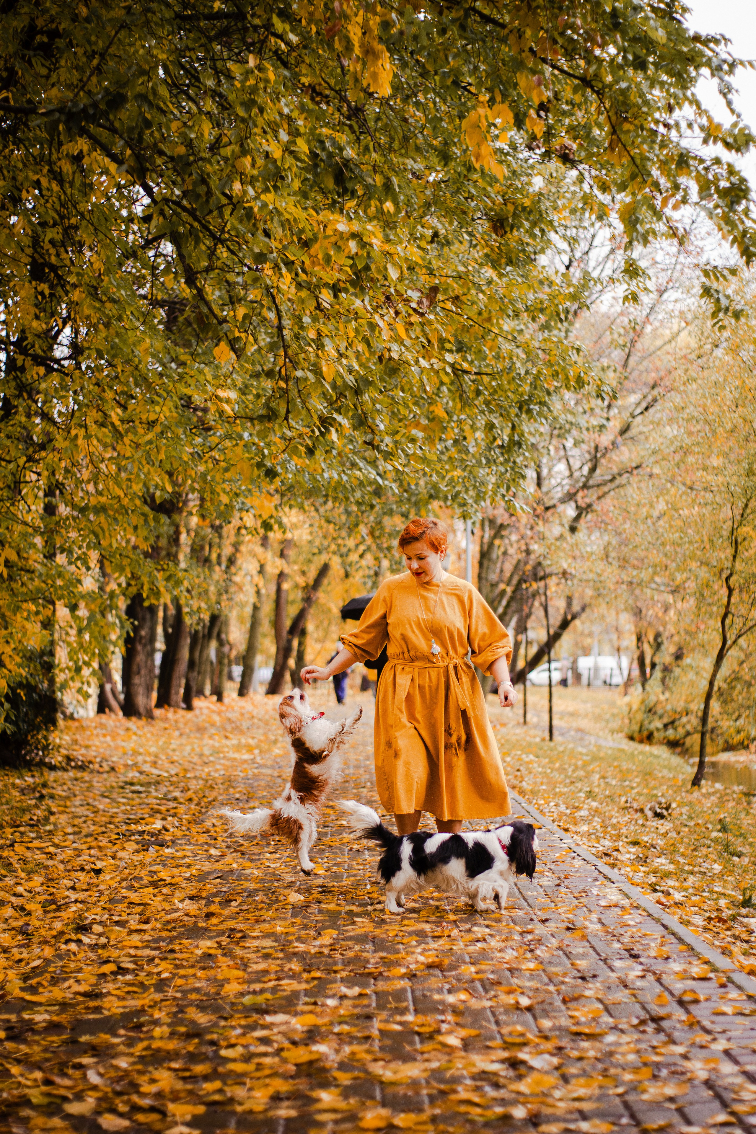 Жанна и кавалеры. Фотограф-анималист Мария Баркевич | Москва
