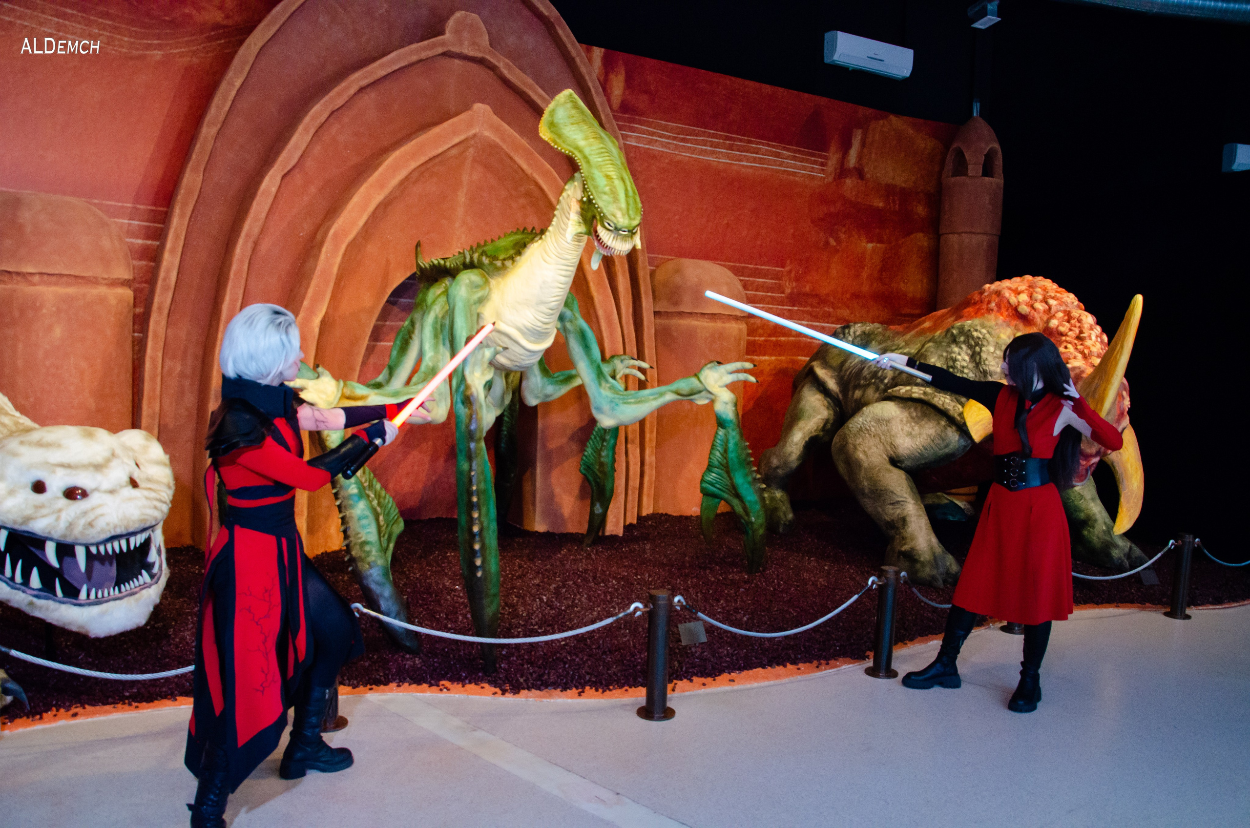 Звёздные войны картинки персонажей и косплей фото в Москве