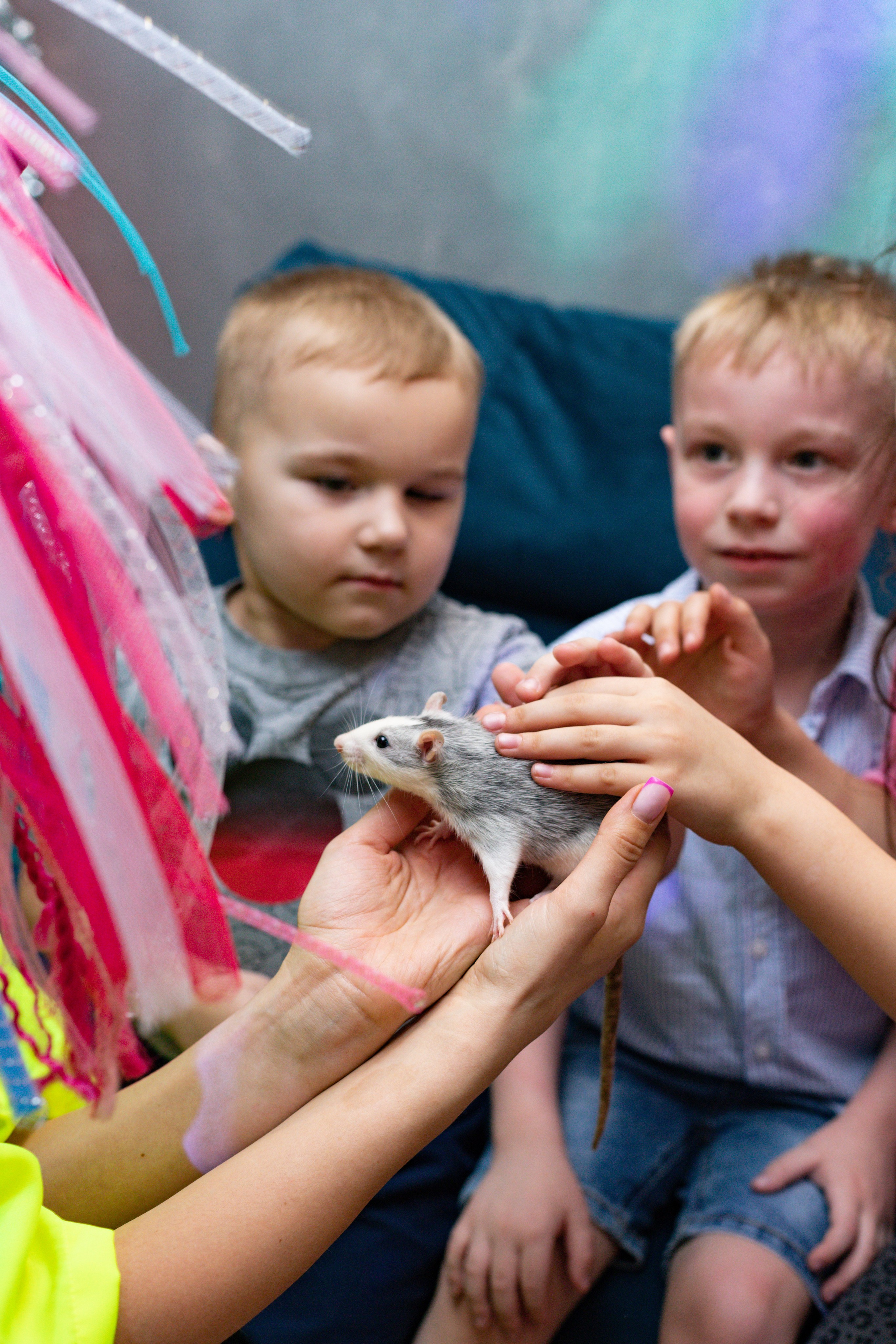 ZAHAR 5 YEAR / BIRTHDAY. Photokarish