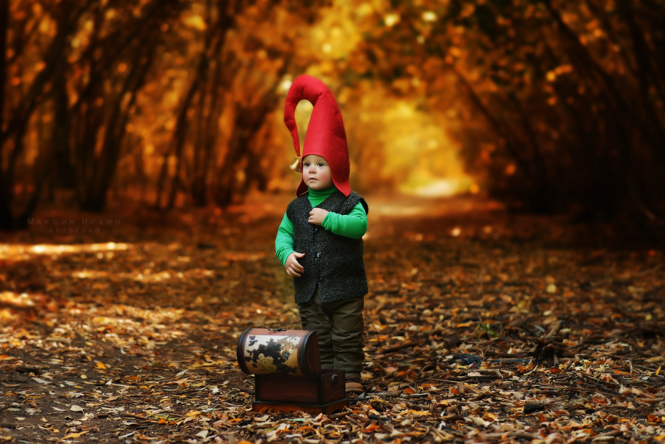 ПРАЙС. Свадебный, семейный, детский, контент фотограф в Омске Максим Ильин