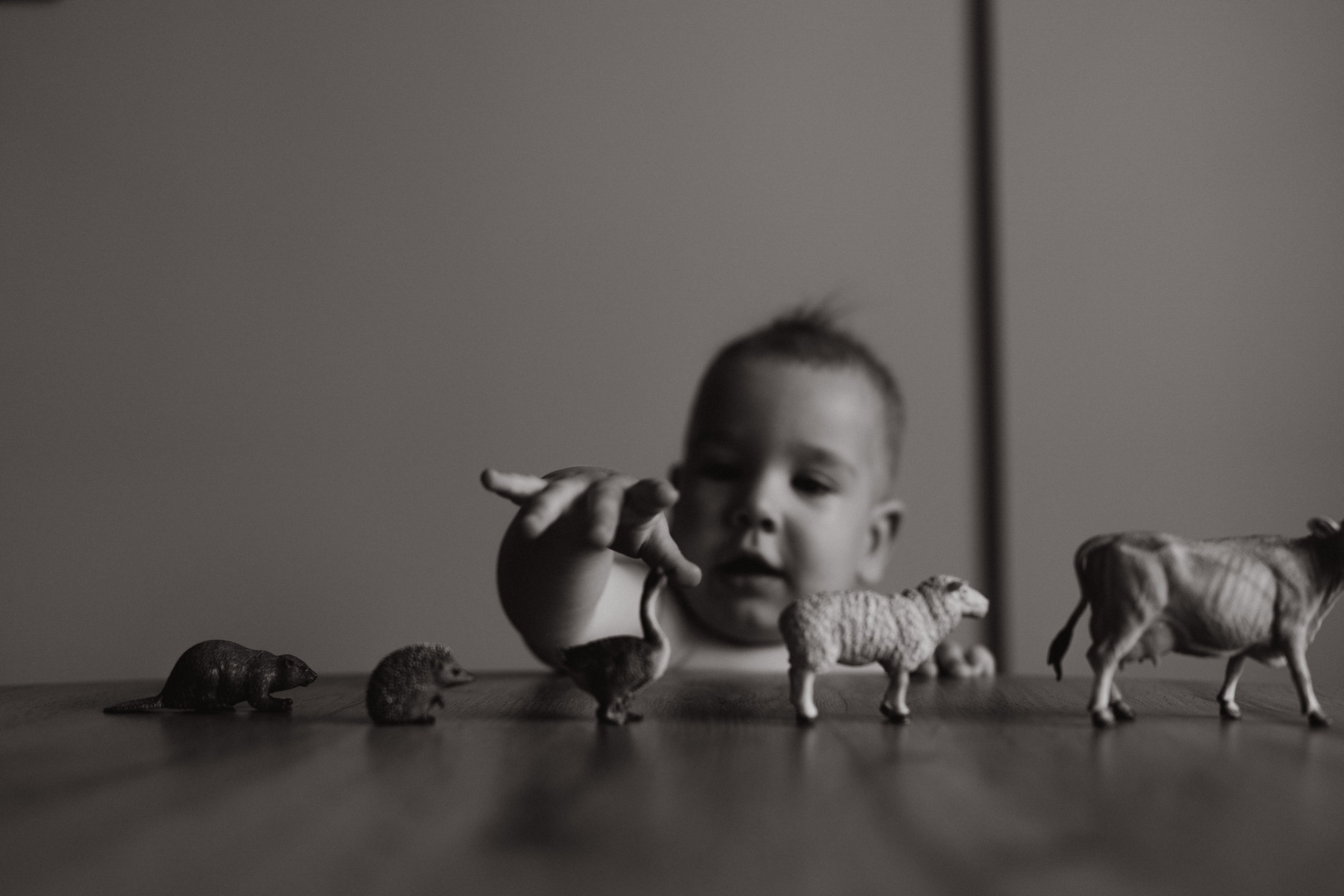 Портфолио. Фотограф в Челябинске и Санкт-Петербурге Анна Ивашкова