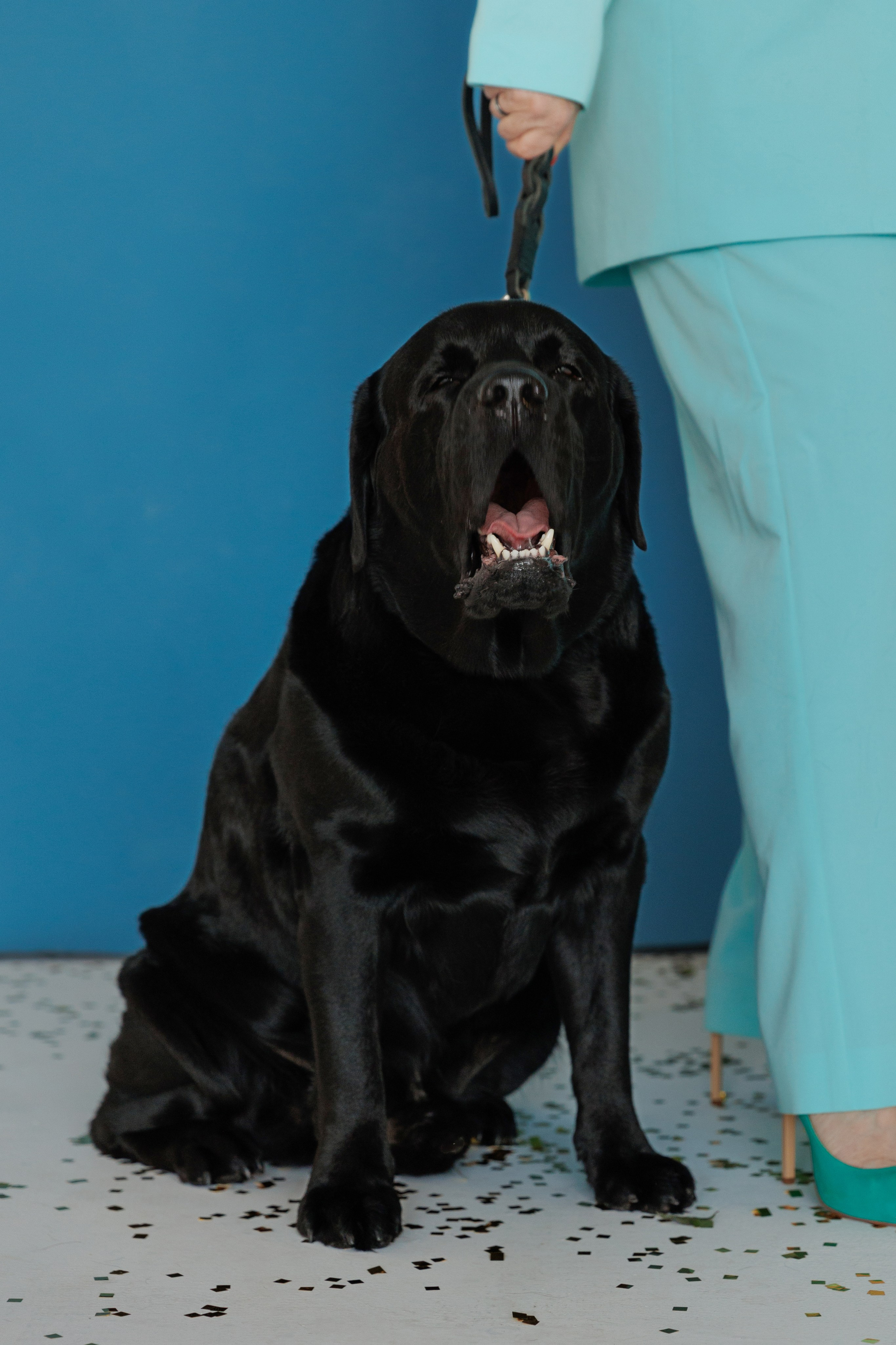 Светлана и Антей. Фотограф женского портрета, беременности и материнства Харькова Елена