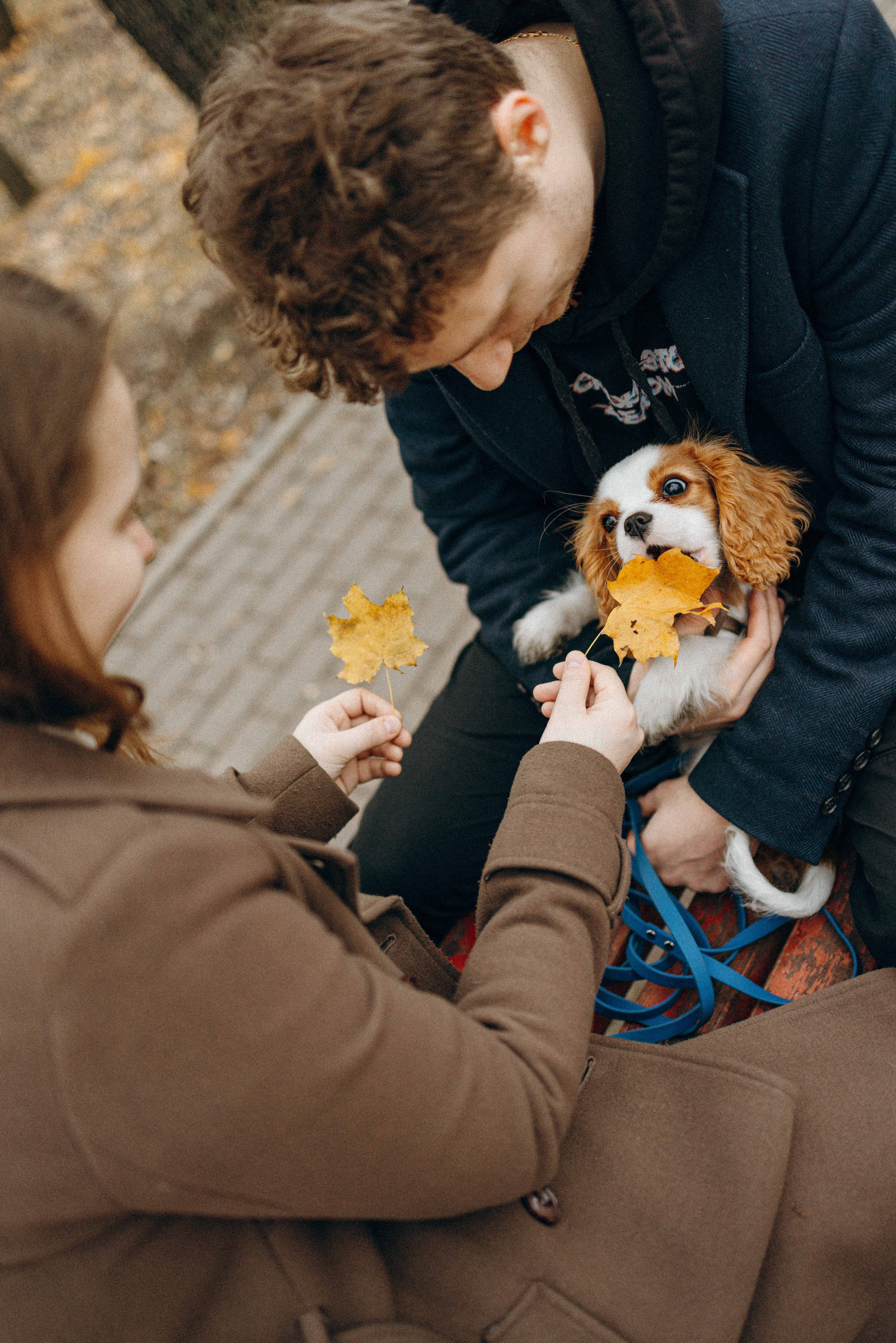Юля и Кипр. Фотограф-анималист в Москве Лера Черноног