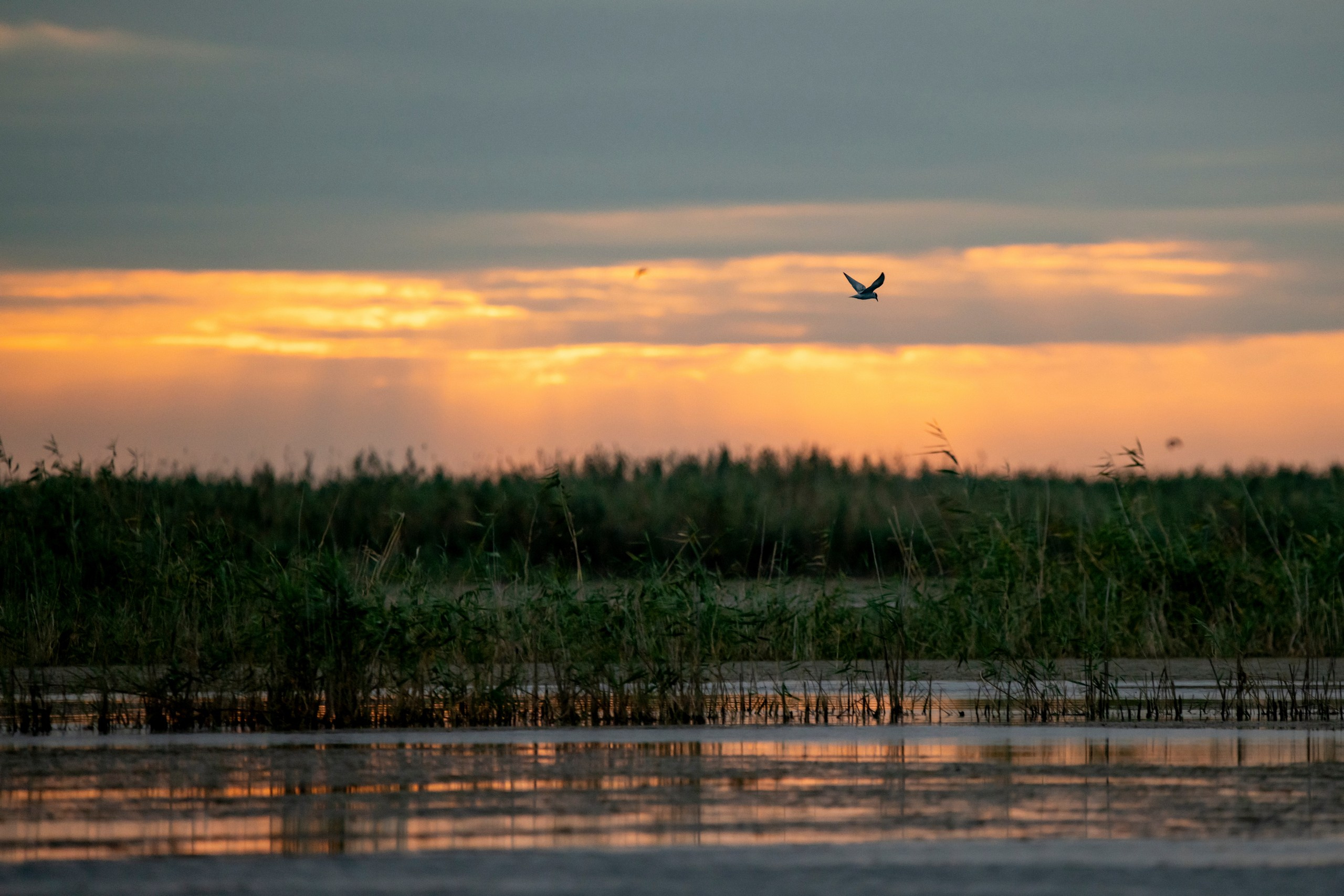 Природа Дагестана, сентябрь 2024. Foto-Zuev фотография как искусство