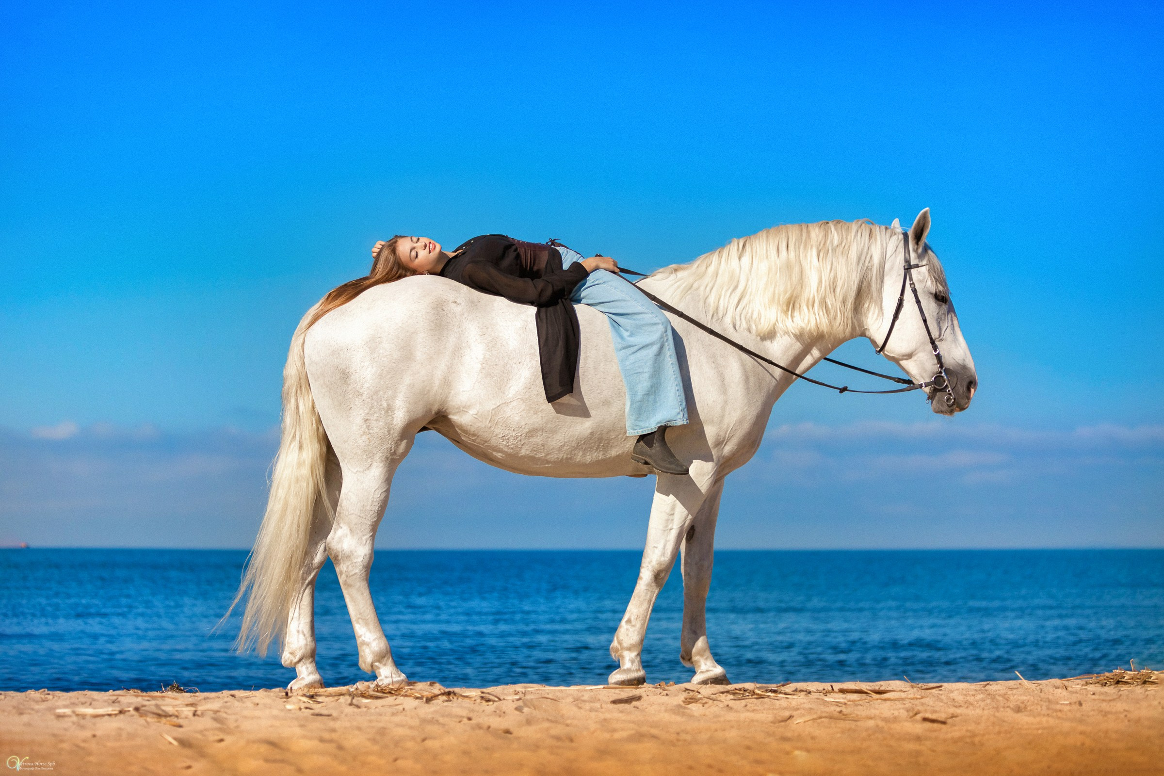 Девушка лежит на спине лошади, красивая фотосессия загородом, фотограф Сестрорецк