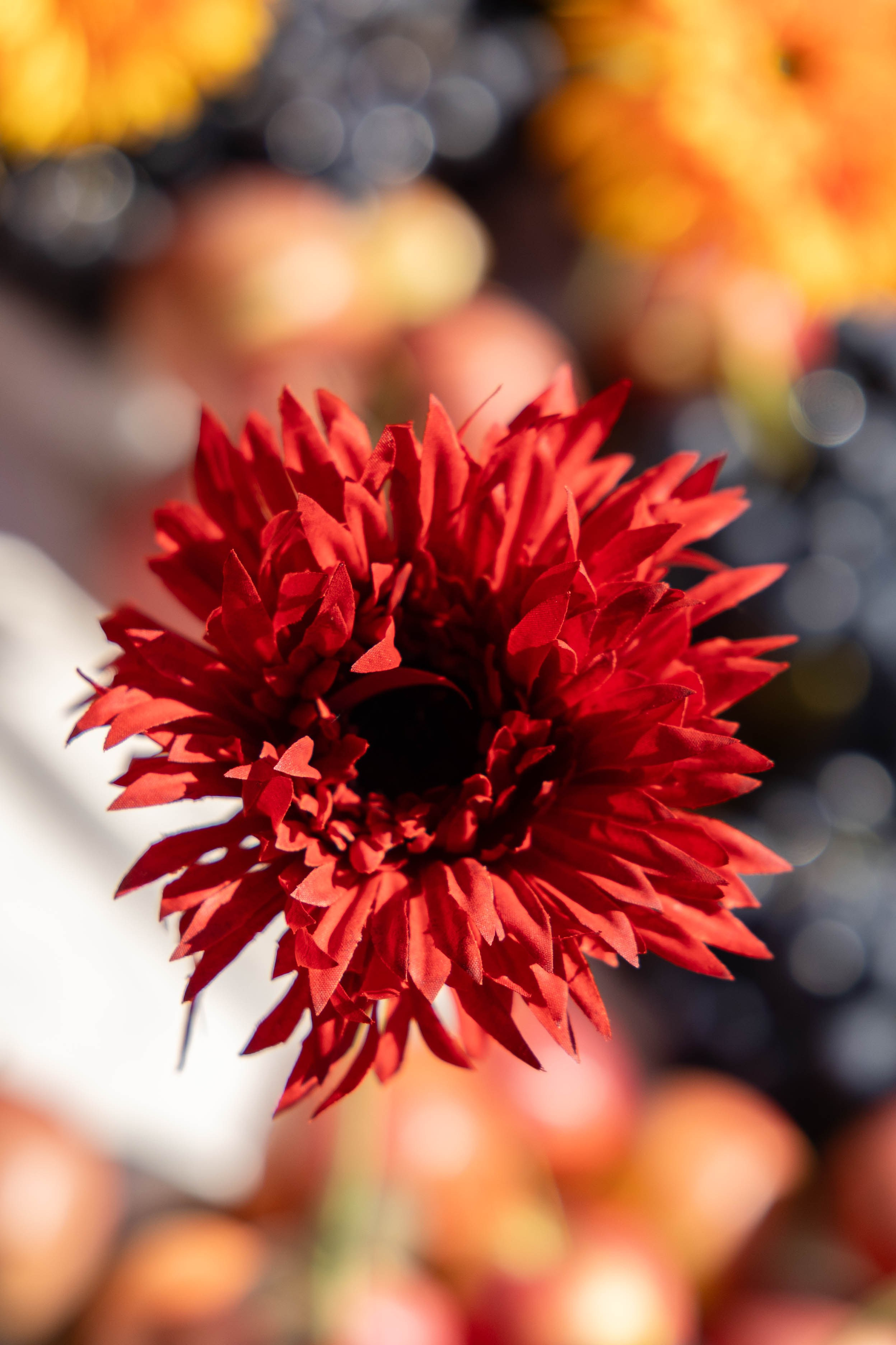 Иван и Лиза. Свадебный и семейный фотограф Евгения Привалова. Новороссийск. Анапа