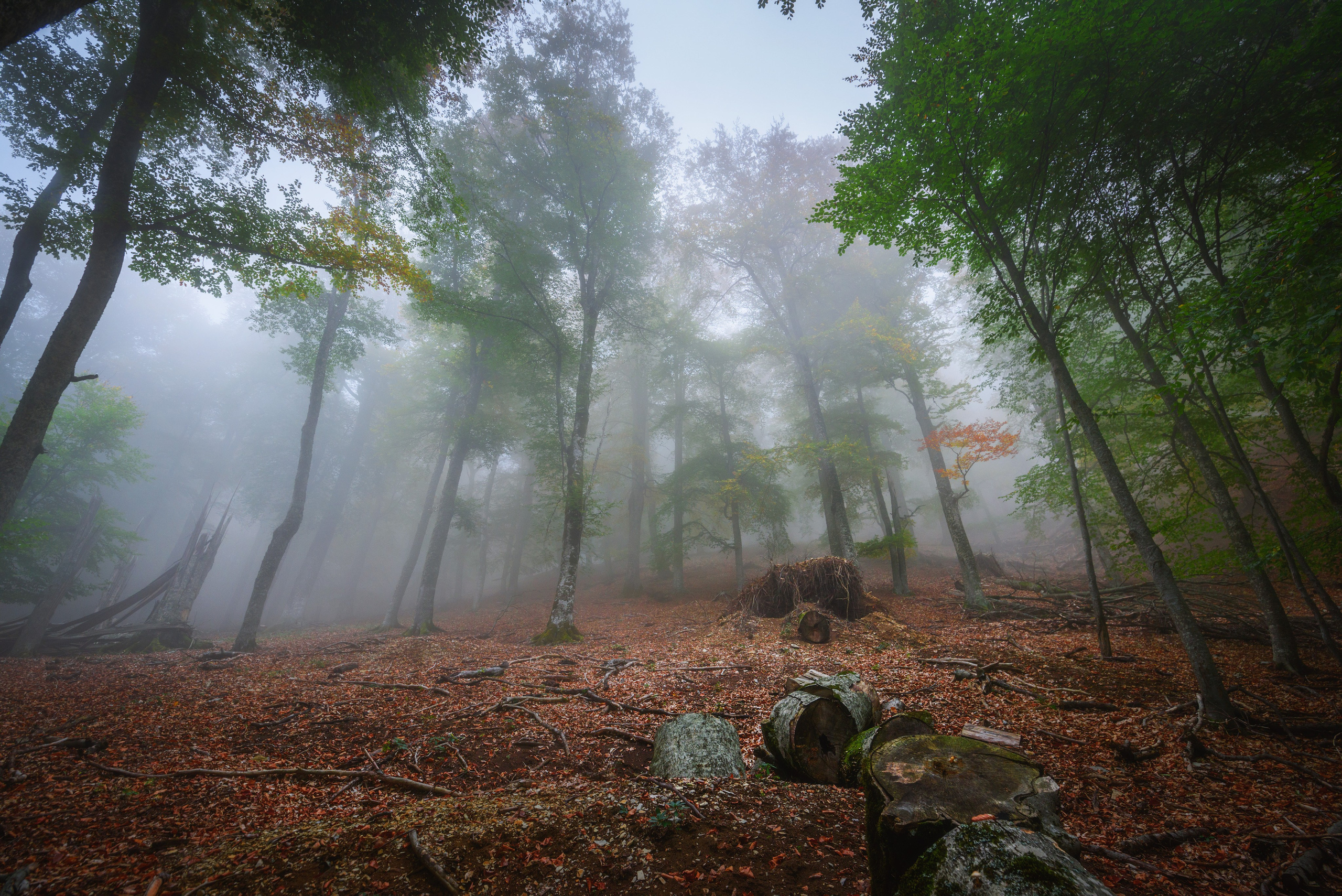 Фотограф Антон Денисенко: Портрет, Документалистика, Пейзаж. Фотограф Антон Денисенко: Портрет, Документалистика, Пейзаж. Москва
