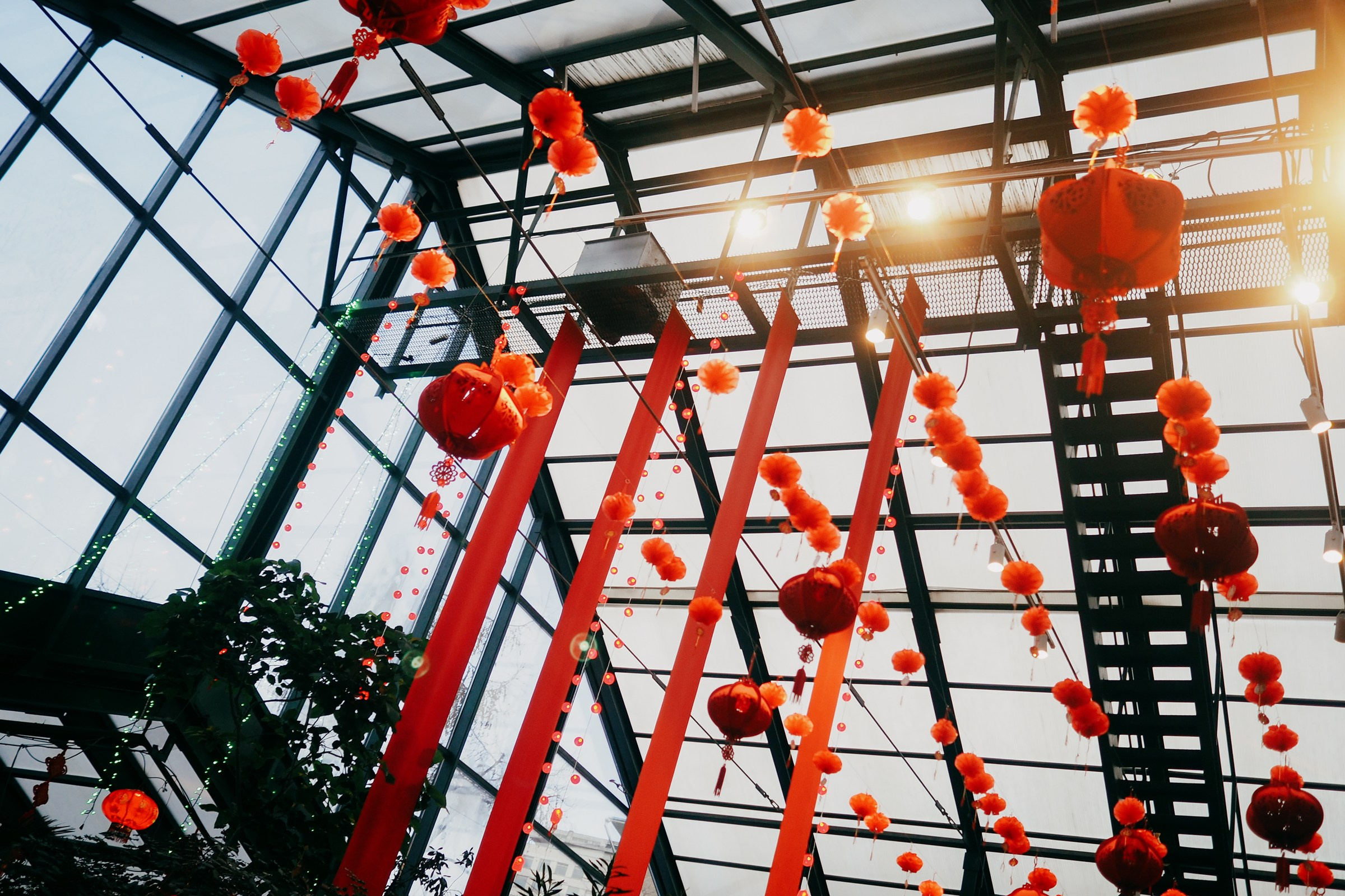 Аптекарский огород. Маруся Машкова • Фотограф в Москве