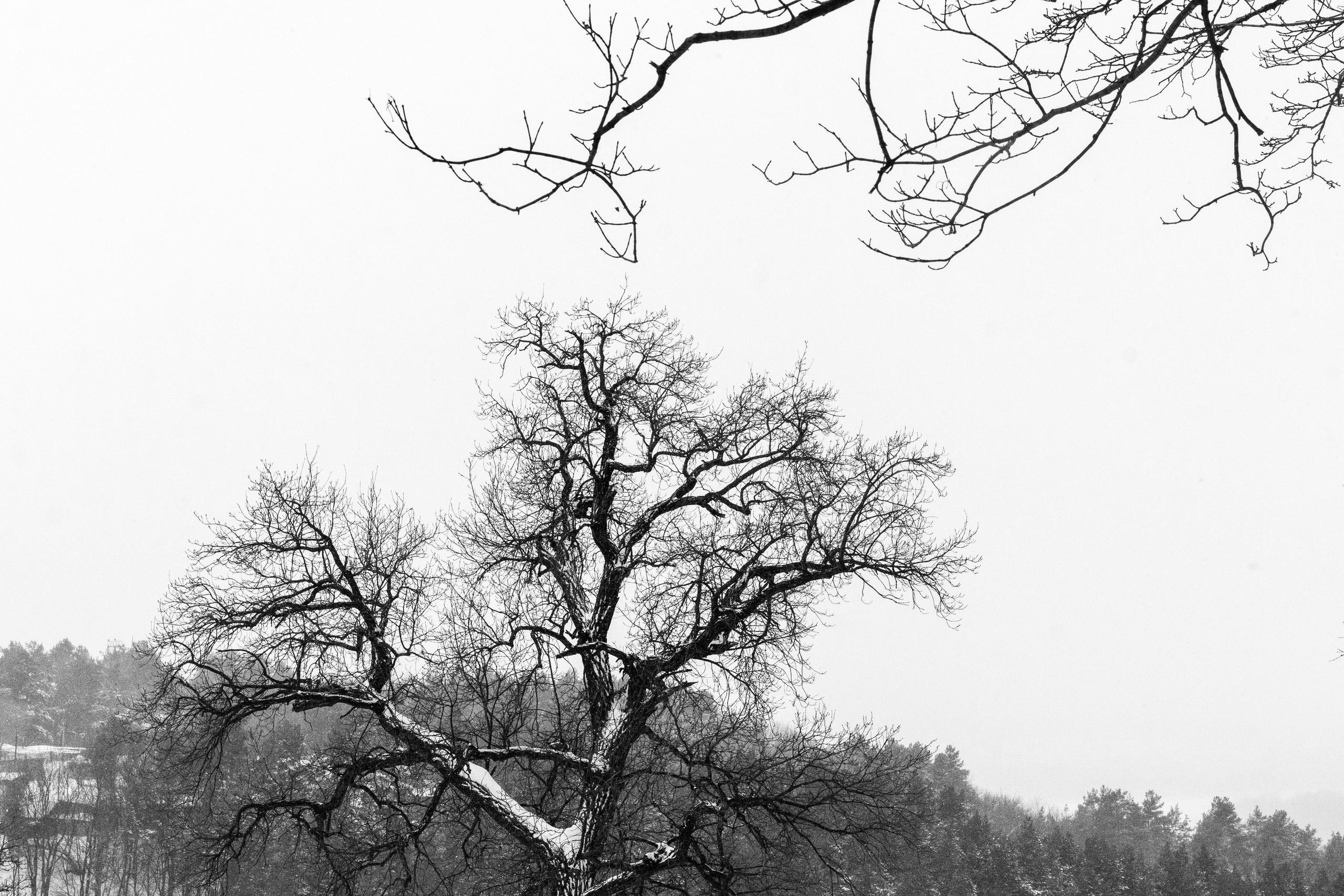 Уфа. Фотопрогулка. Олег Романов. Мастер фото по спорту