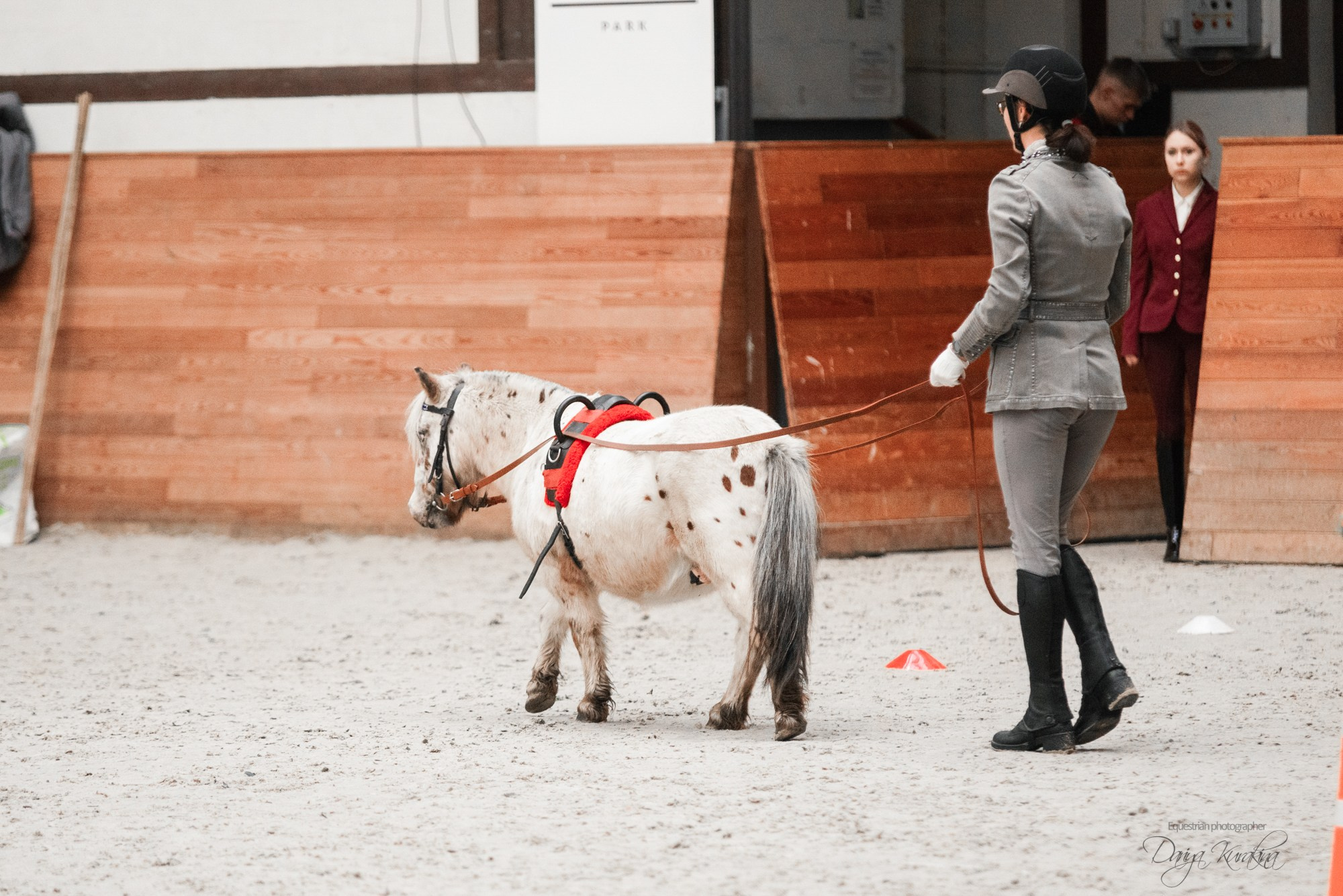 8-я международная выставка Конная Россия. Конный фотограф Куракина Дарья • Фотосессии с лошадьми