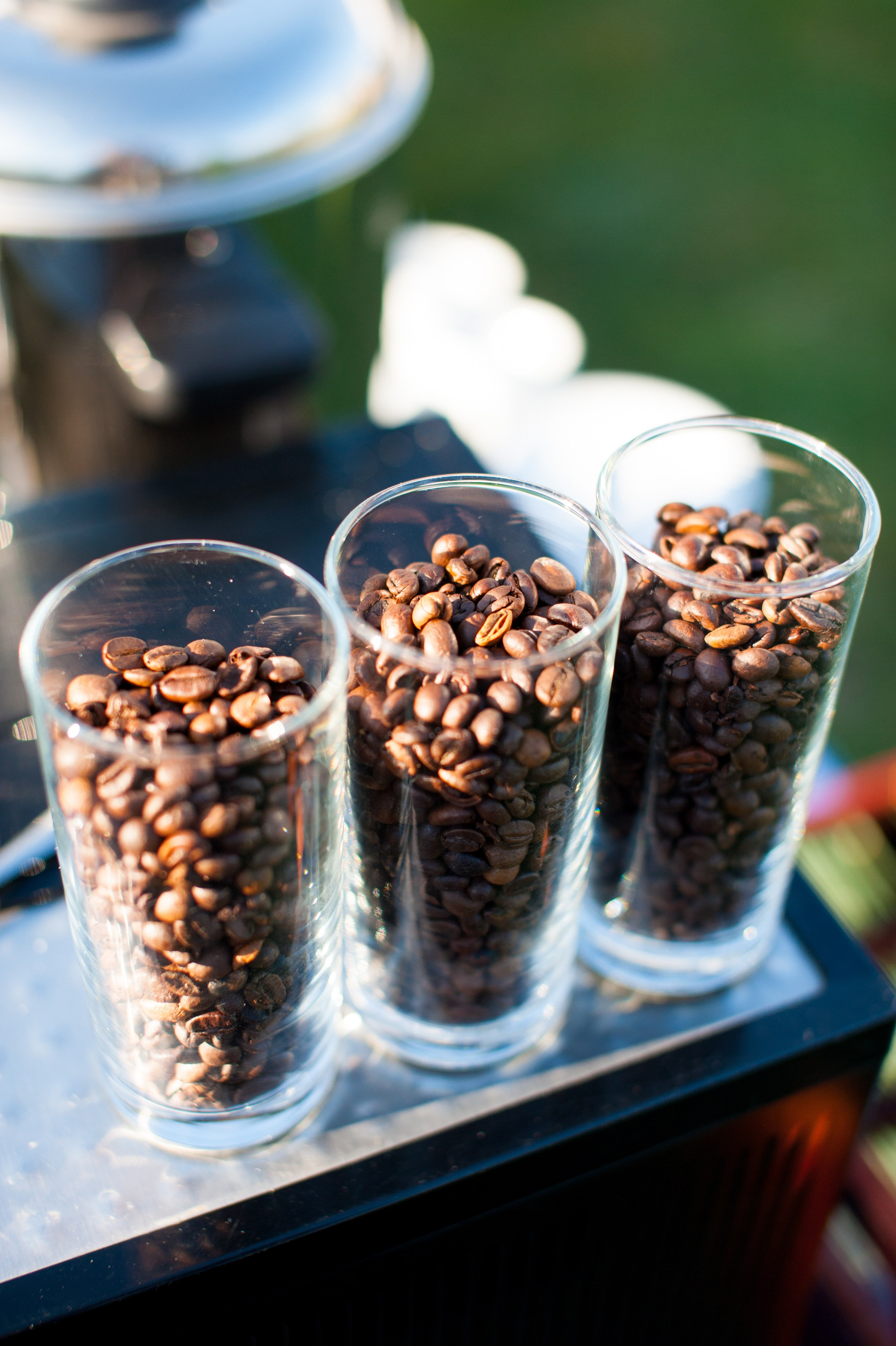 Анонс свадьбы в Ростовской области (Катя и Кирилл). Свадебный фотограф в Ростове-на-Дону Владимир Пешков