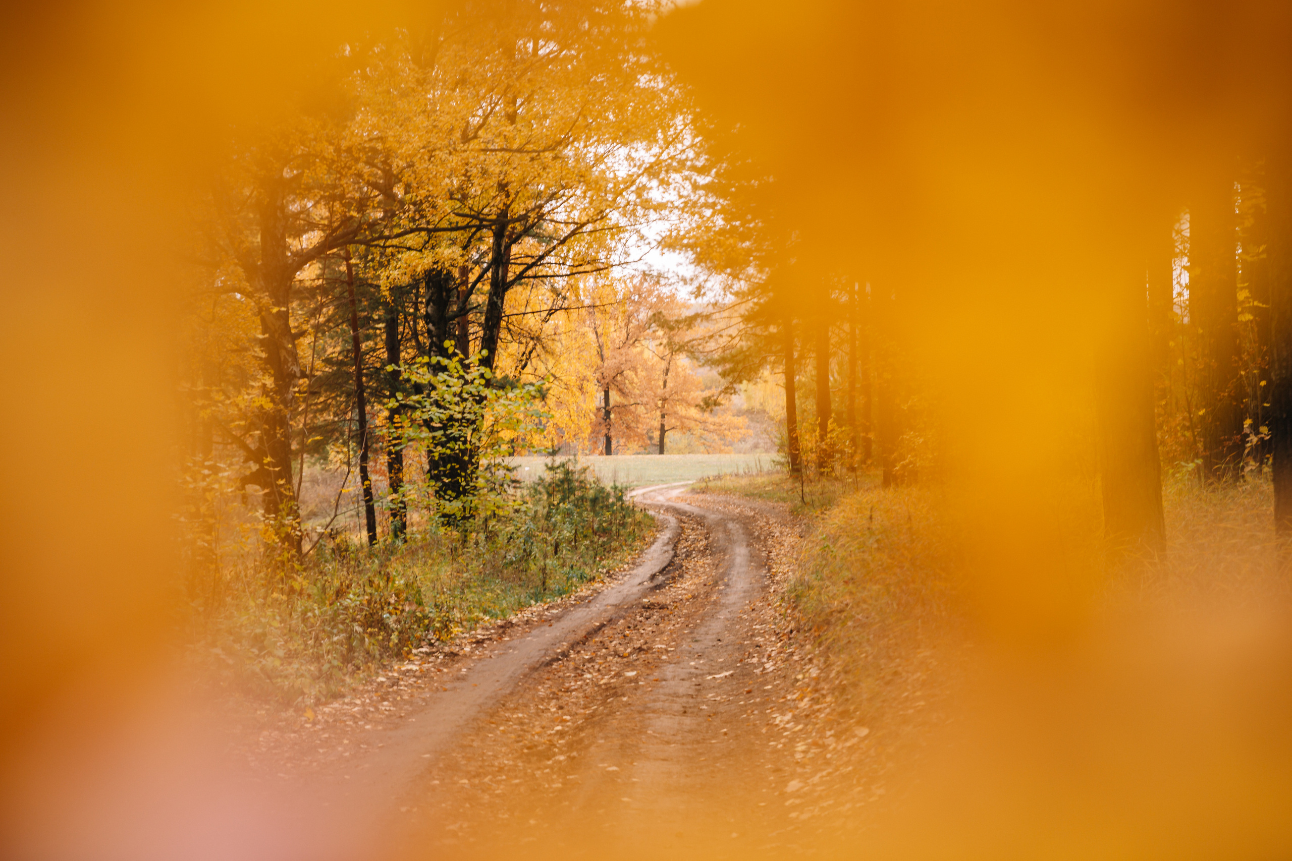 Фотограф  г. Набережные Челны, Татарстан — Айгуль Зарипова