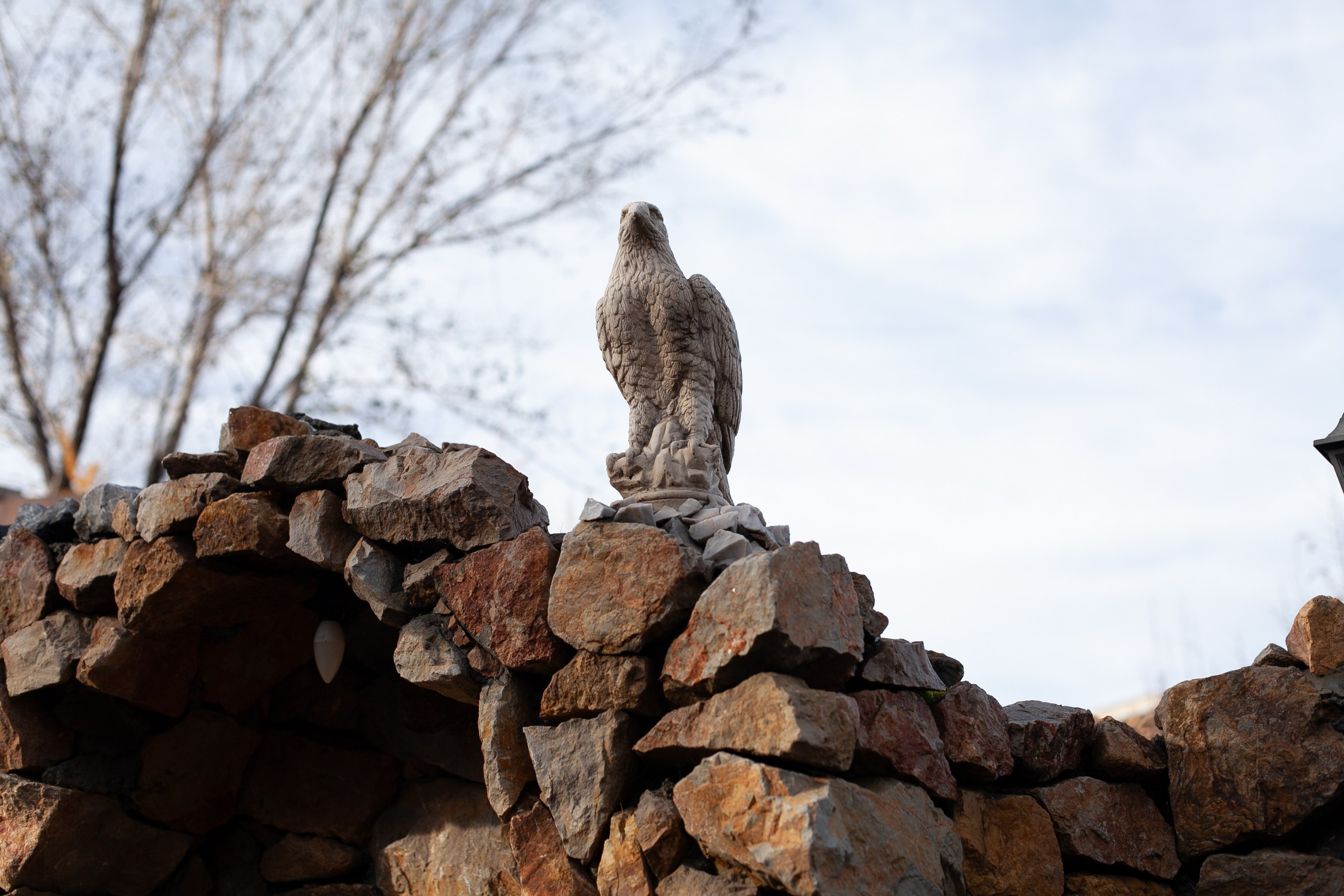 Сады Мечты. Контент для сайта. Фотограф Дарья Локотко в Красноярске