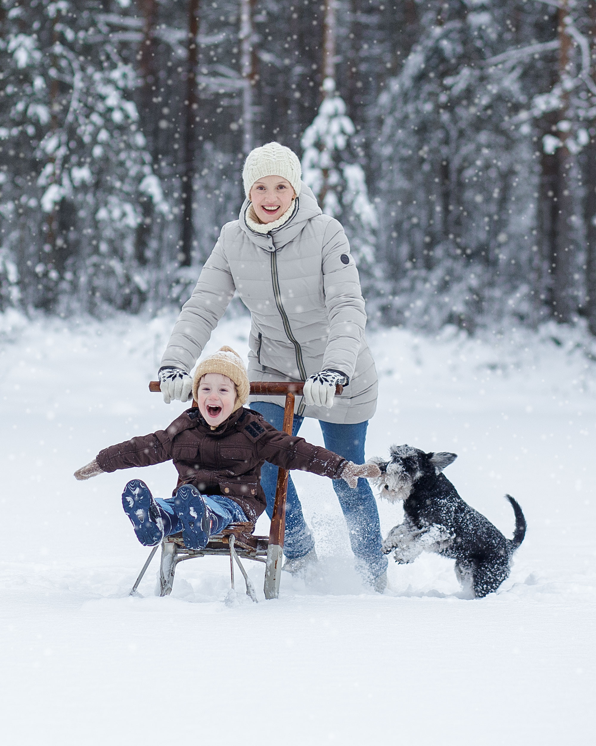 Зимняя съемка в лесу с санками. Идеи для фото
