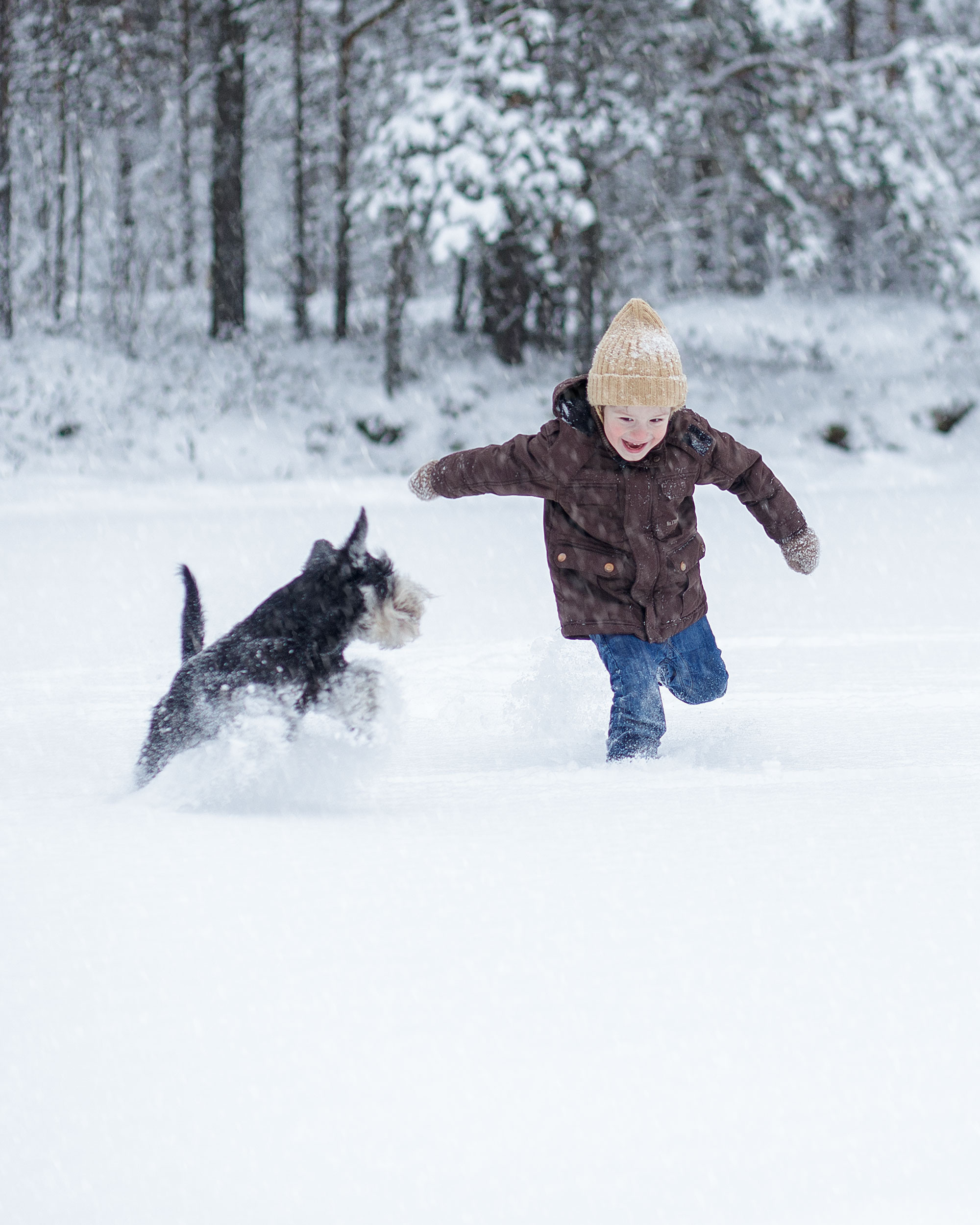 Зимняя съемка в лесу