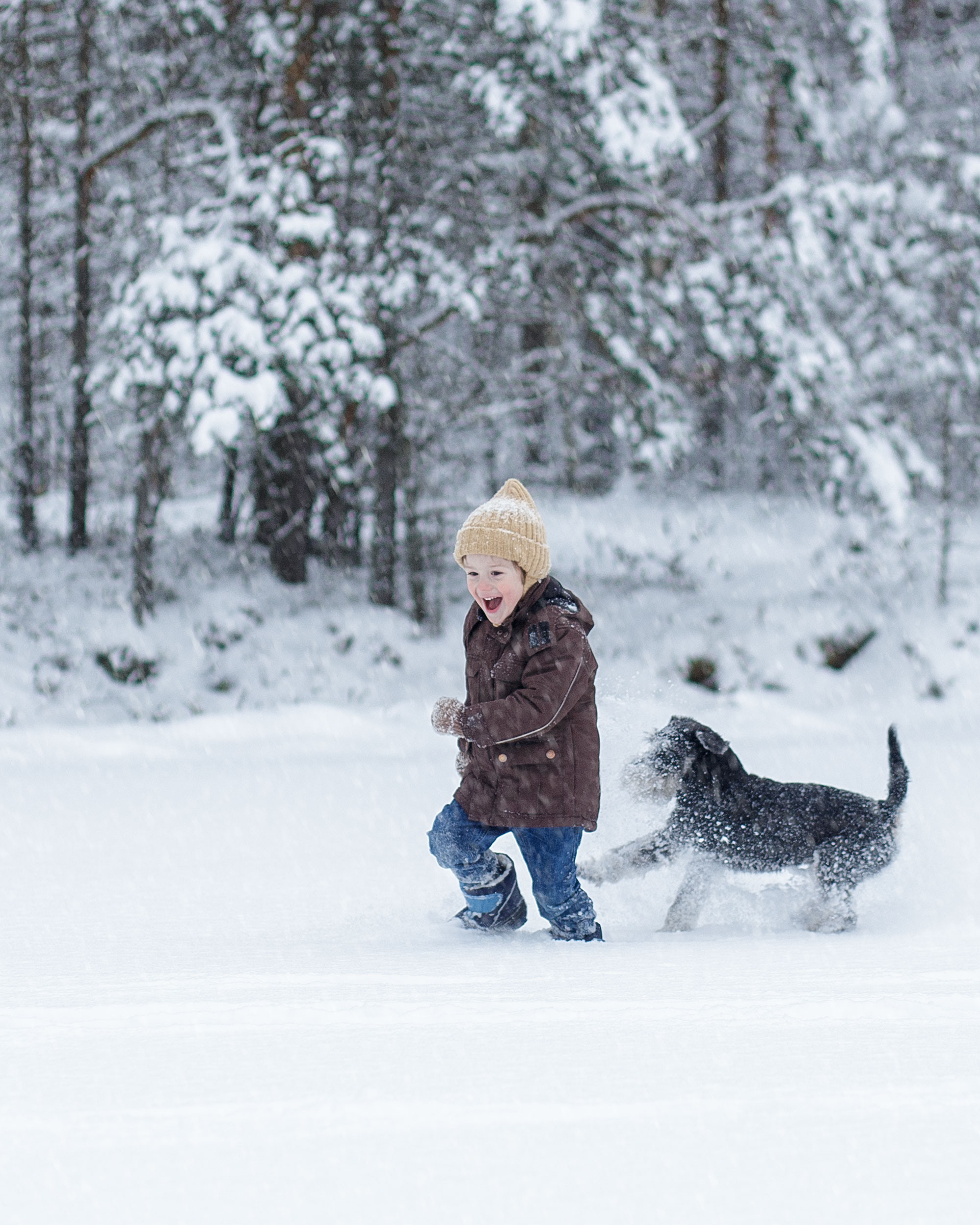 Зимняя съемка в лесу