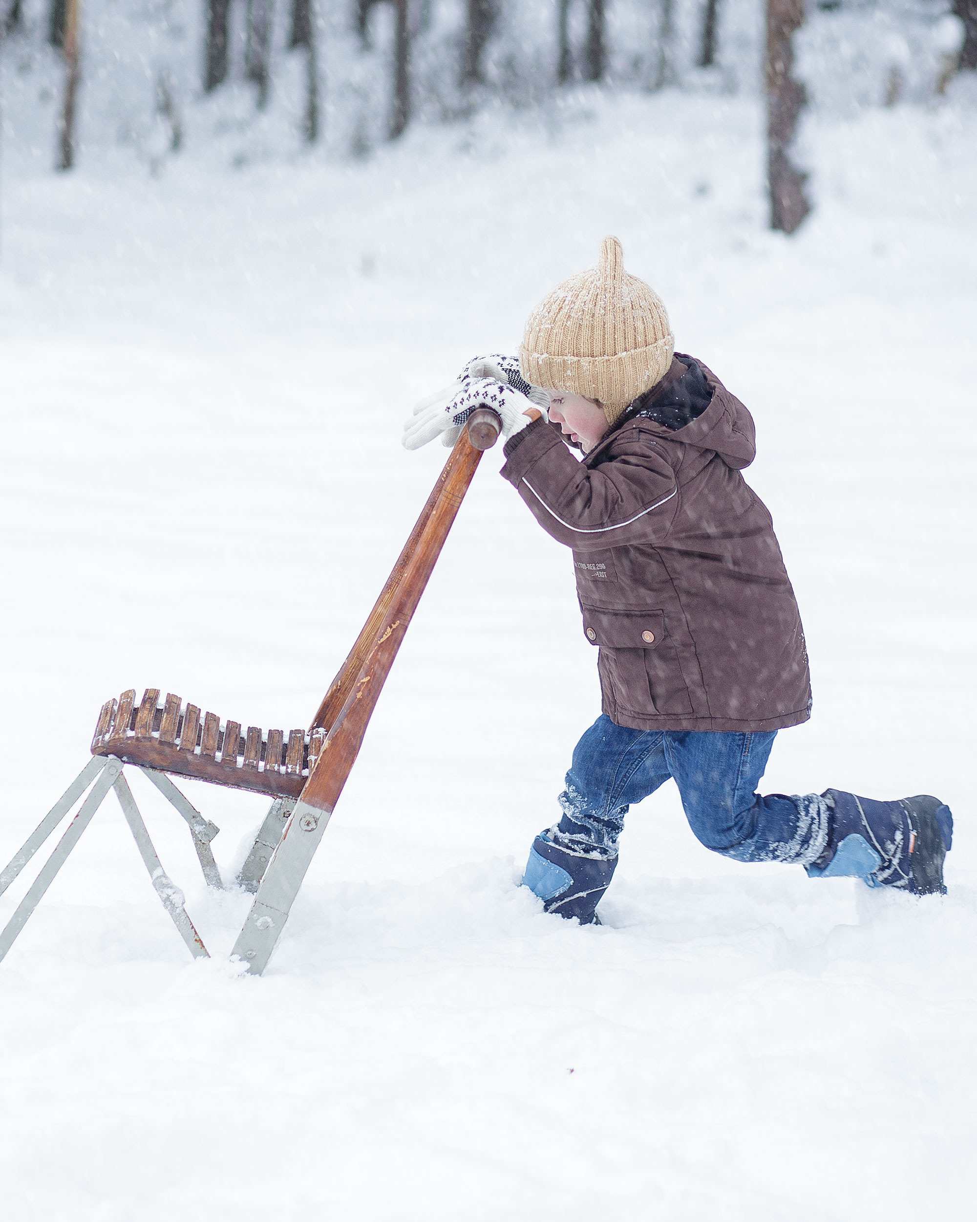 Зимняя съемка в лесу . Идеи для фото