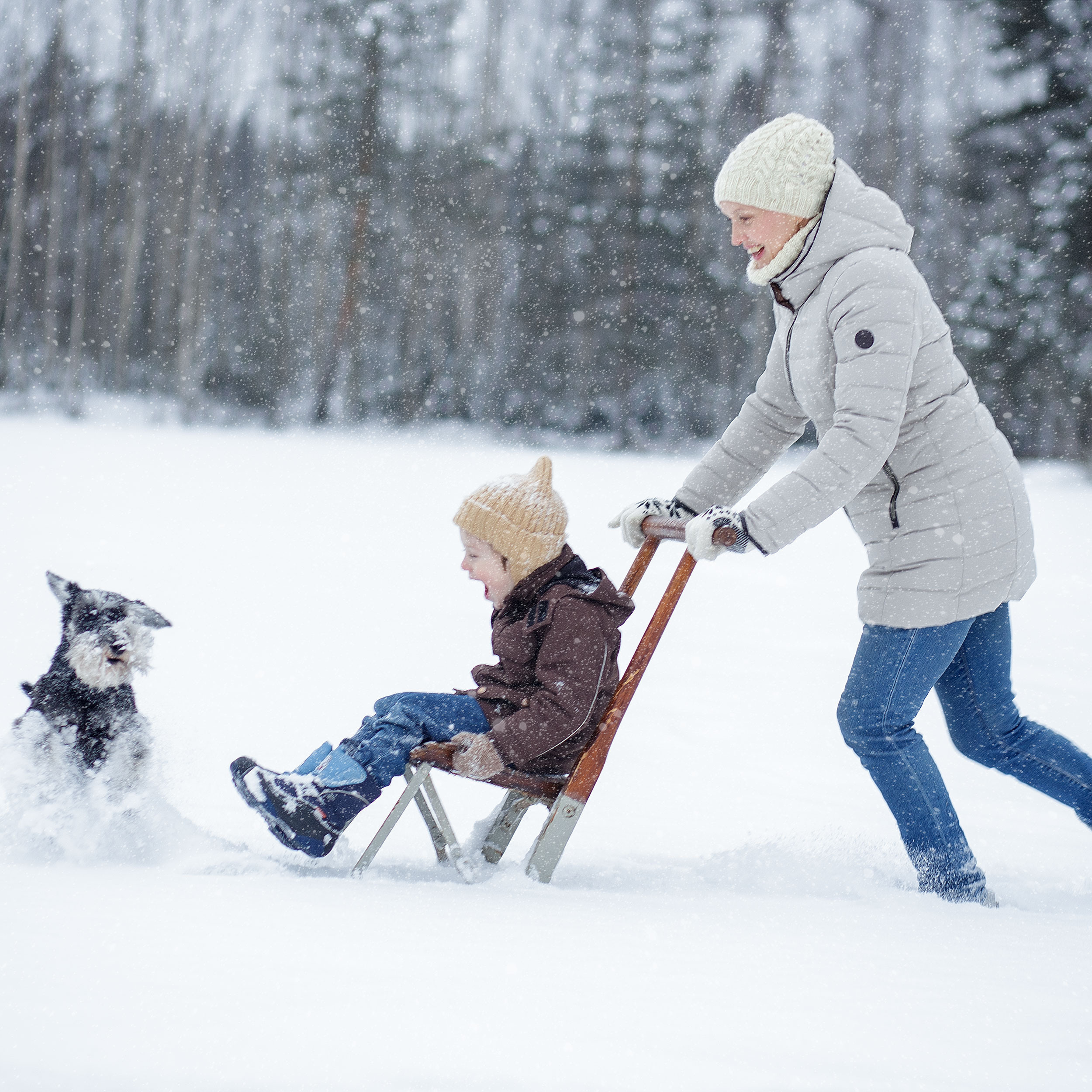 Зимняя съемка в лесу с санками. Идеи для фото