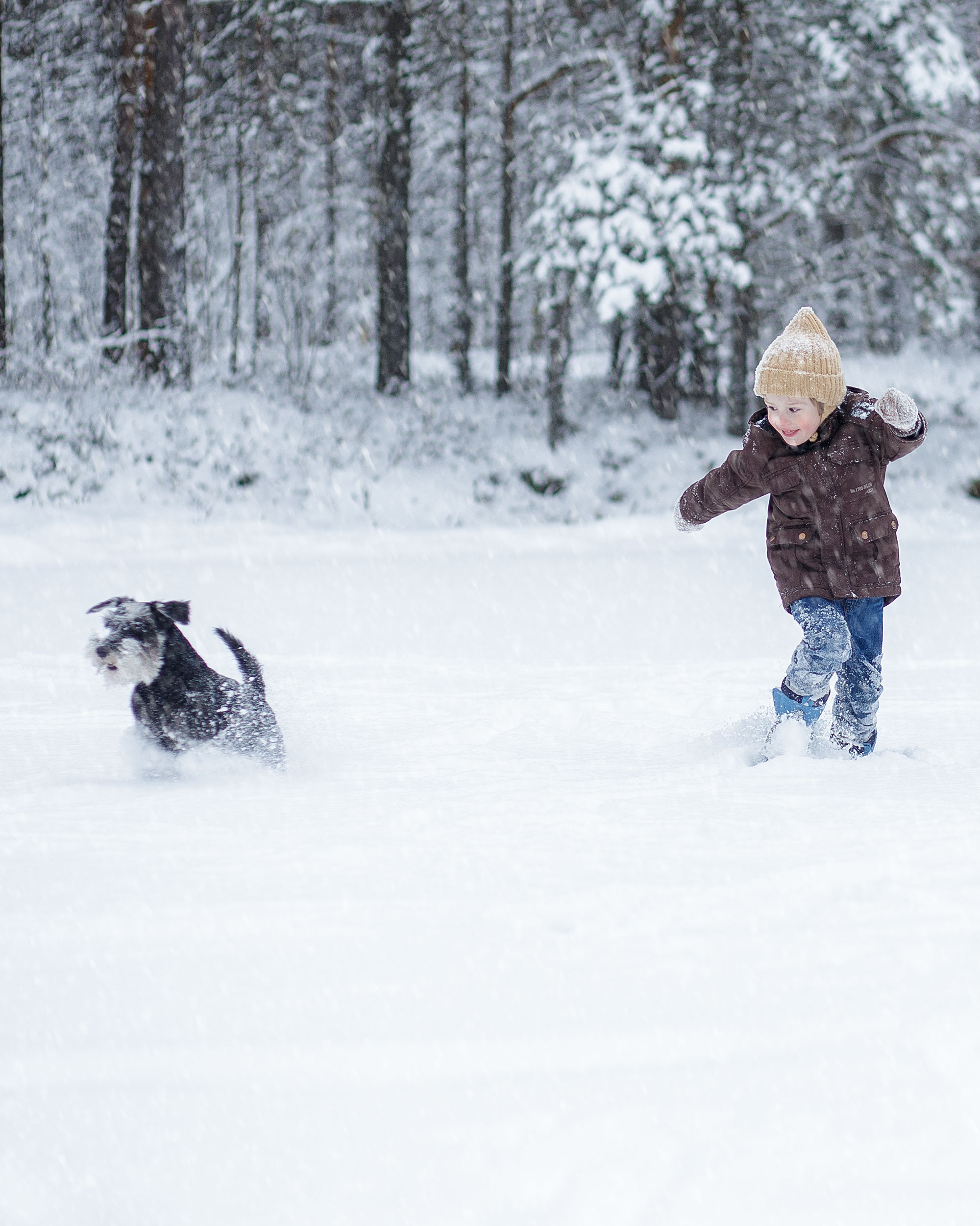 Зимняя съемка в лесу