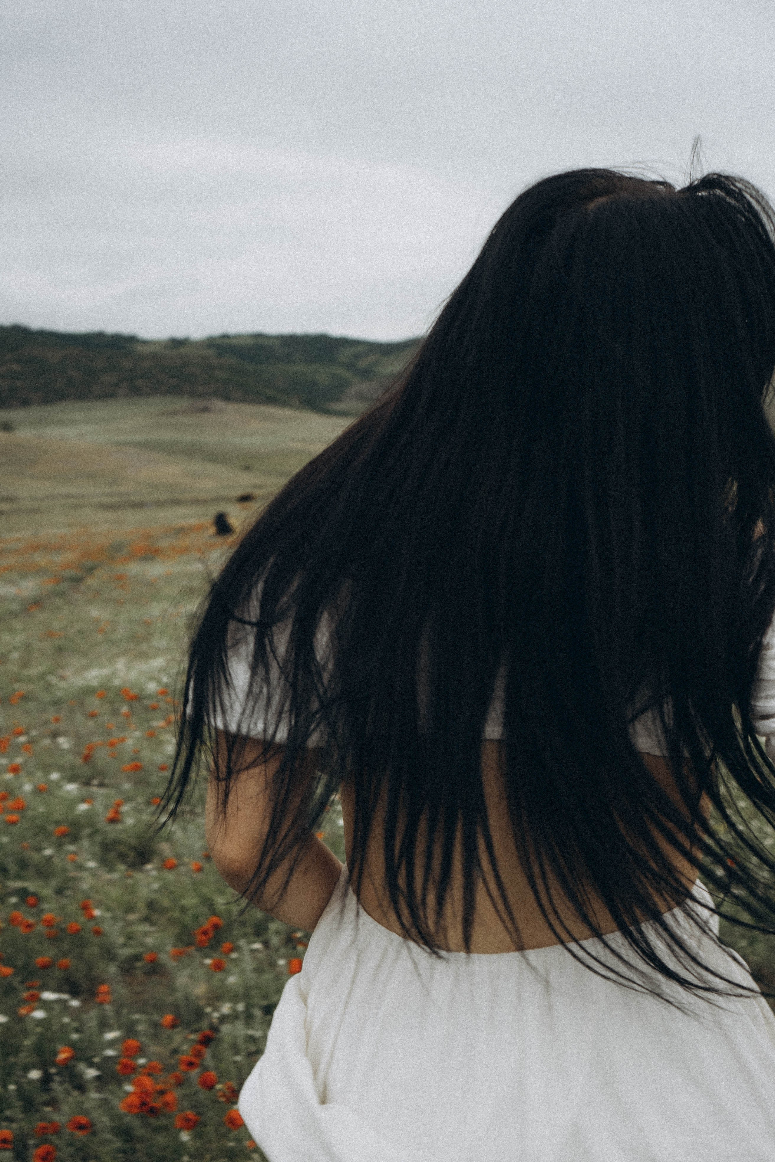 Маковое поле. Профессиональный фотограф, Санкт-Петербург — Виктория Богомолова