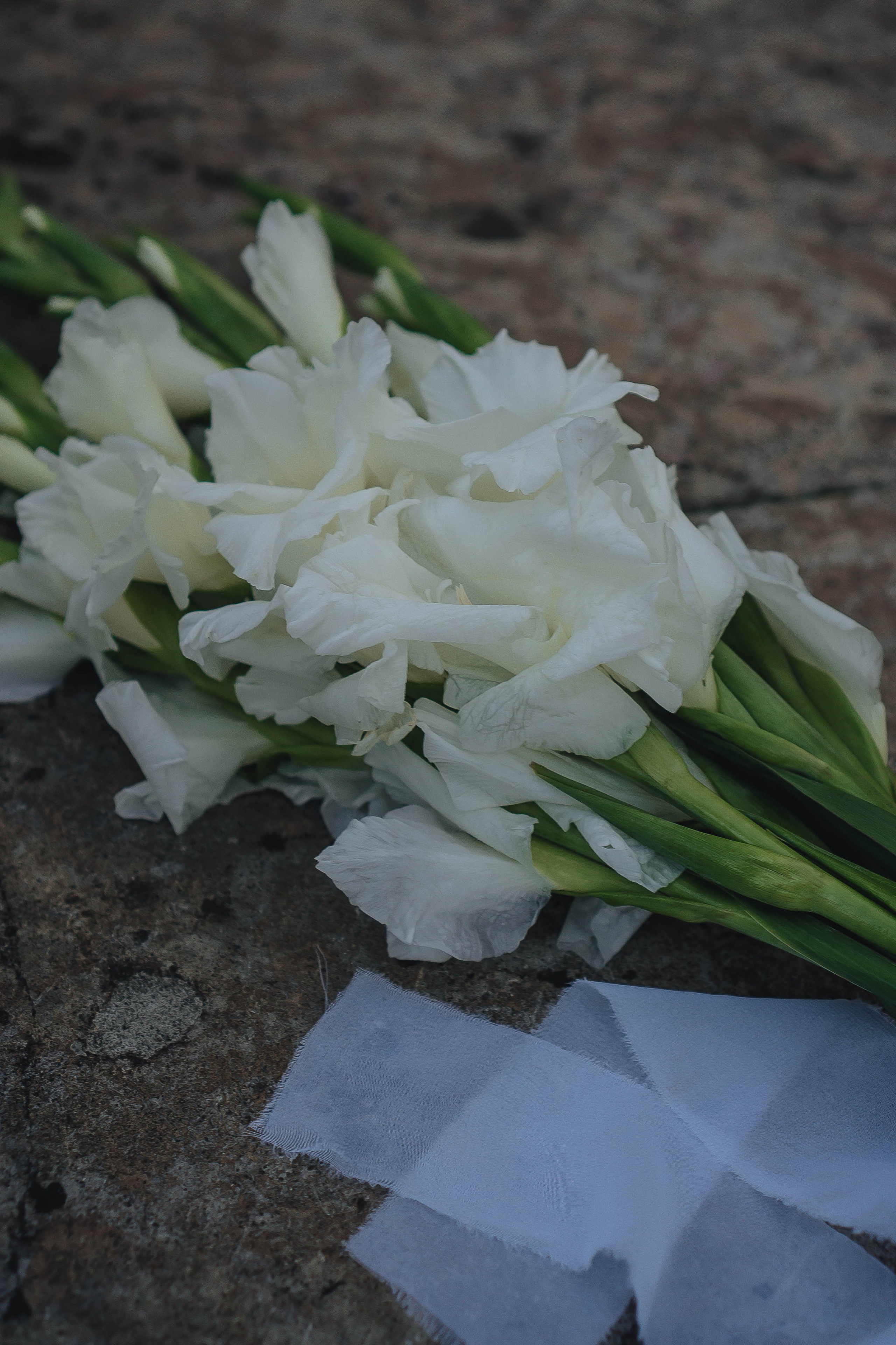 СВАДЕБНАЯ СЬЕМКА НА РАССВЕТЕ НА ЕЛАГИНОМ ОСТОРОВЕ. Профессиональный фотограф, Санкт-Петербург — Виктория Богомолова