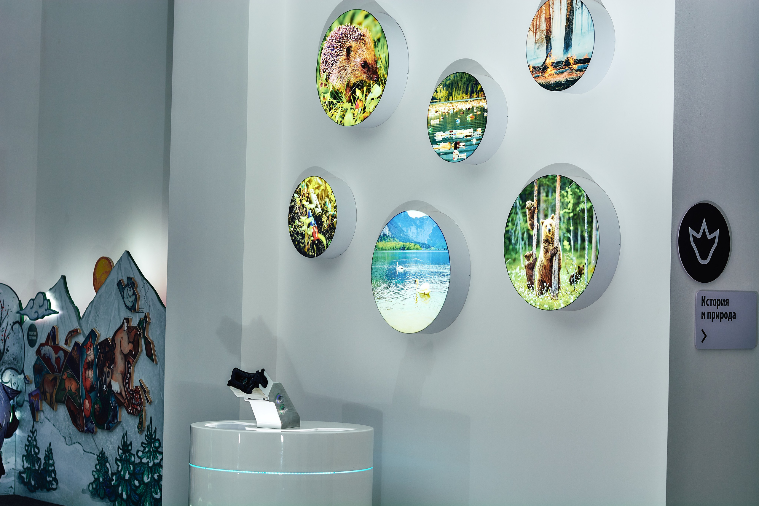 Интерьерная съемка Визит-центр Национальный парк «Кисловодский». Константин Кордонский | Интерьерный и food-фотограф в Кисловодске и КМВ